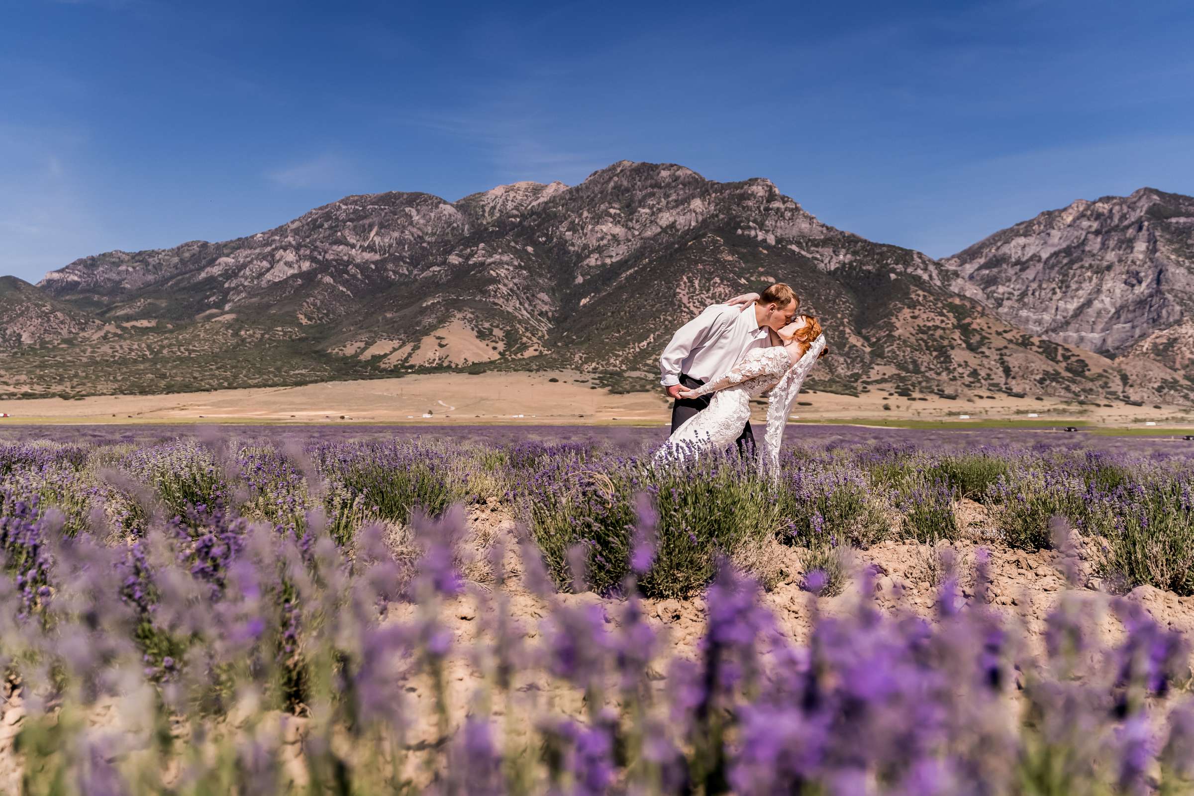 Wedding, Portfolio Images Wedding Photo #50 by True Photography