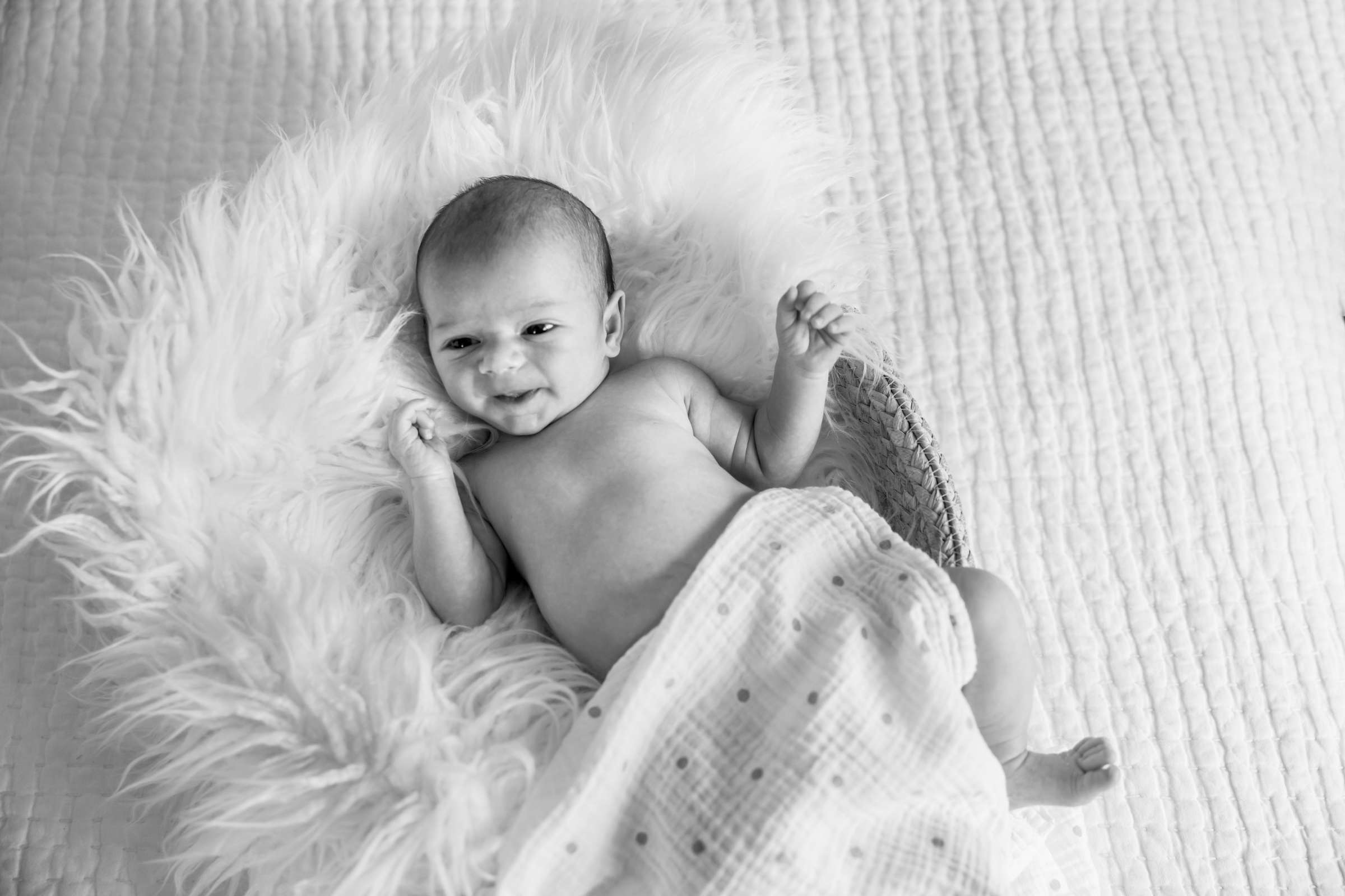 Newborn Photo Session, Brian W Newborn Photo #637777 by True Photography