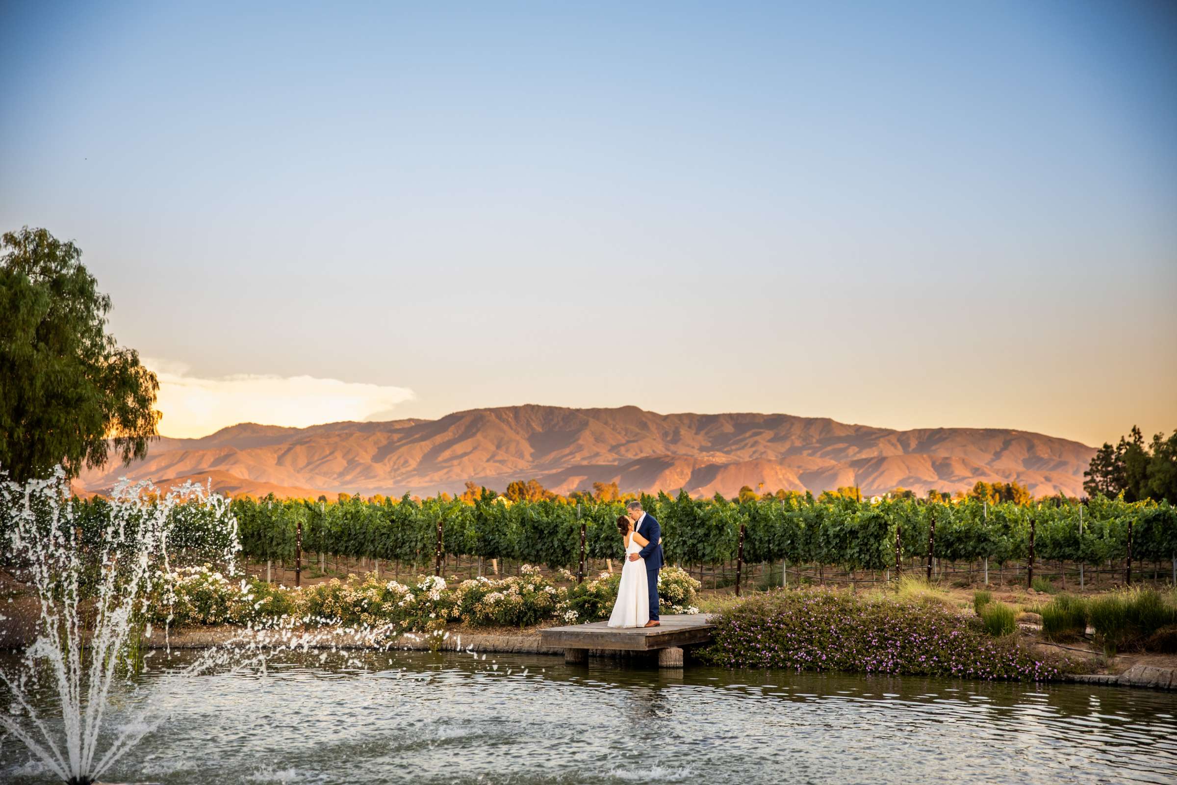 Ponte Estate Winery Wedding, Debbi and Bryan Wedding Photo #1 by True Photography