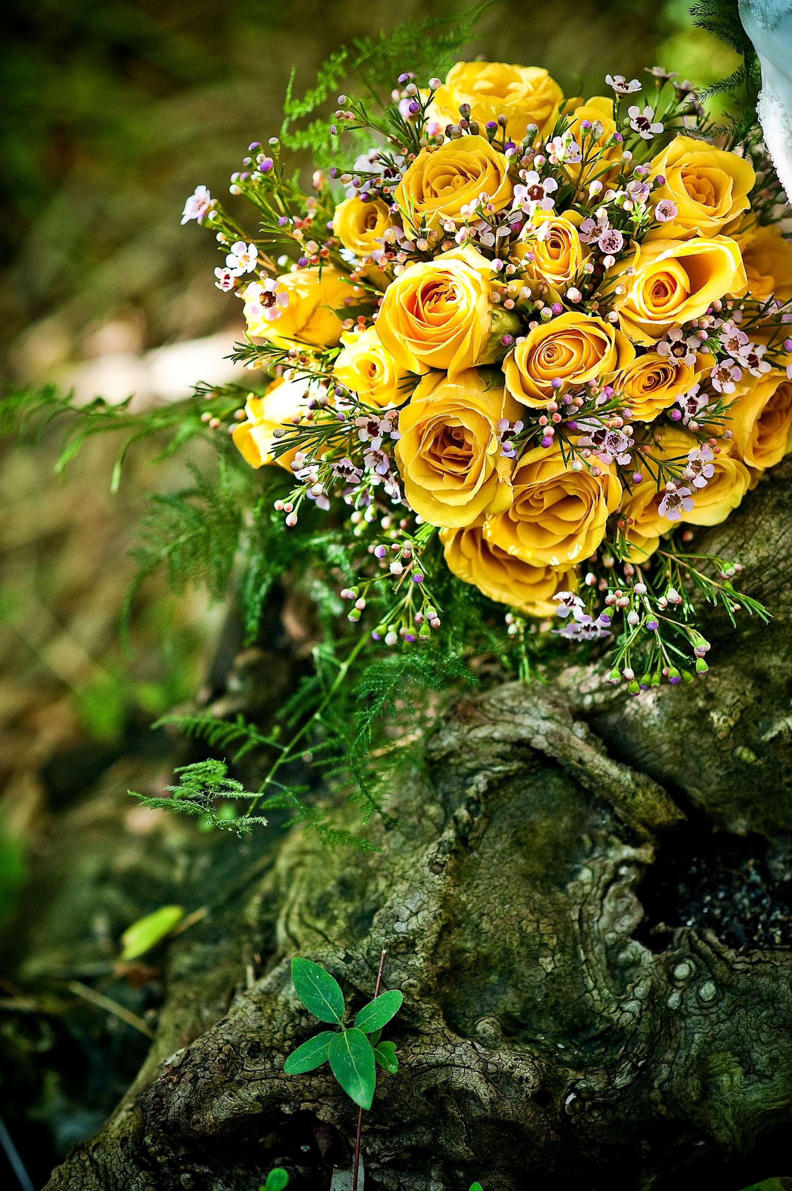 Tropical at Safari Park Wedding, Amy and Simon Wedding Photo #28 by True Photography