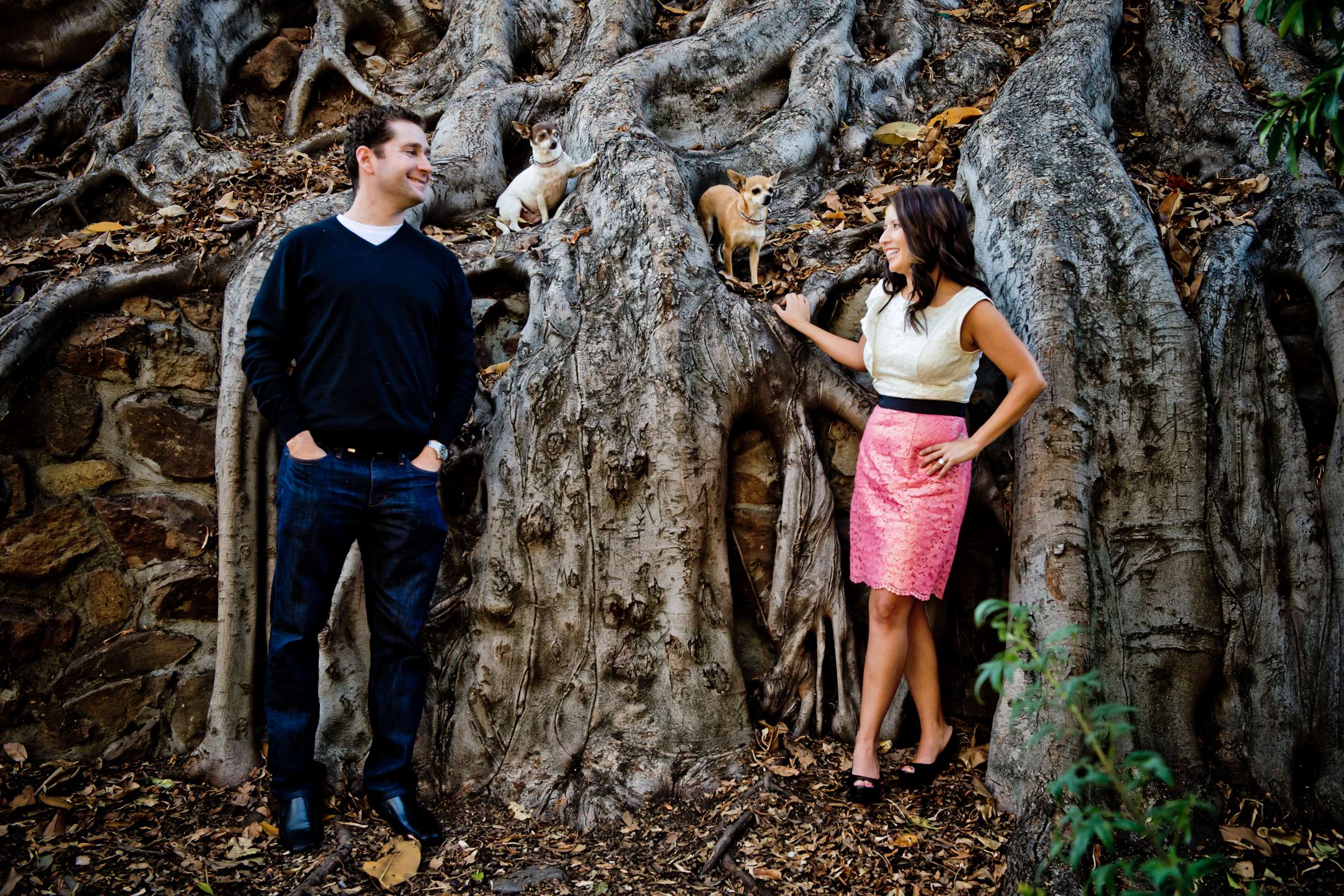 Wedding, Cute Dogs Wedding Photo #10 by True Photography