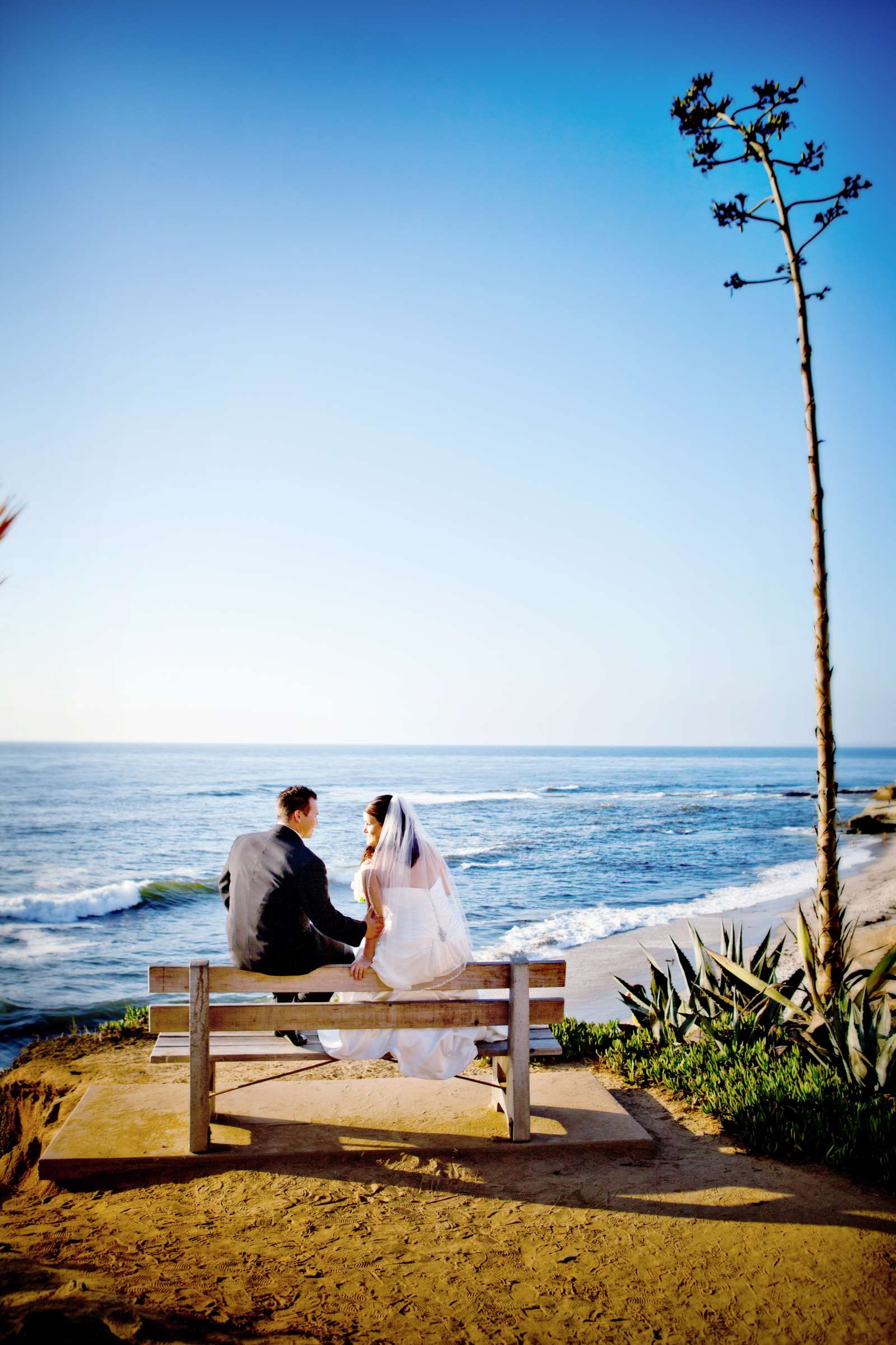 Wedding, Stefanie and Brandon Wedding Photo #77647 by True Photography