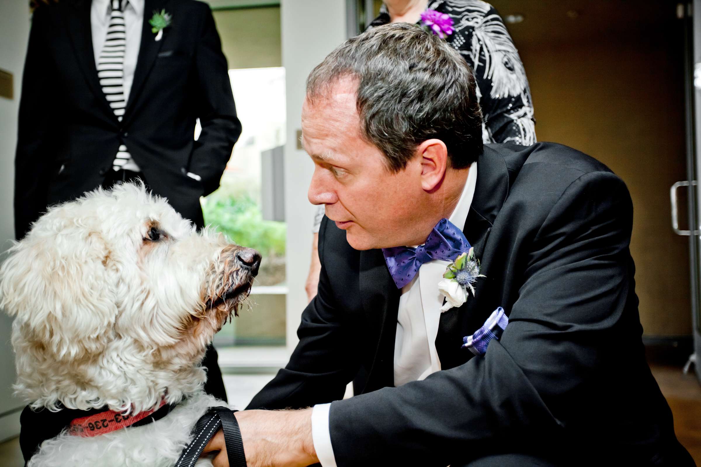 Scripps Seaside Forum Wedding coordinated by I Do Weddings, Lydia and Olin Wedding Photo #87235 by True Photography