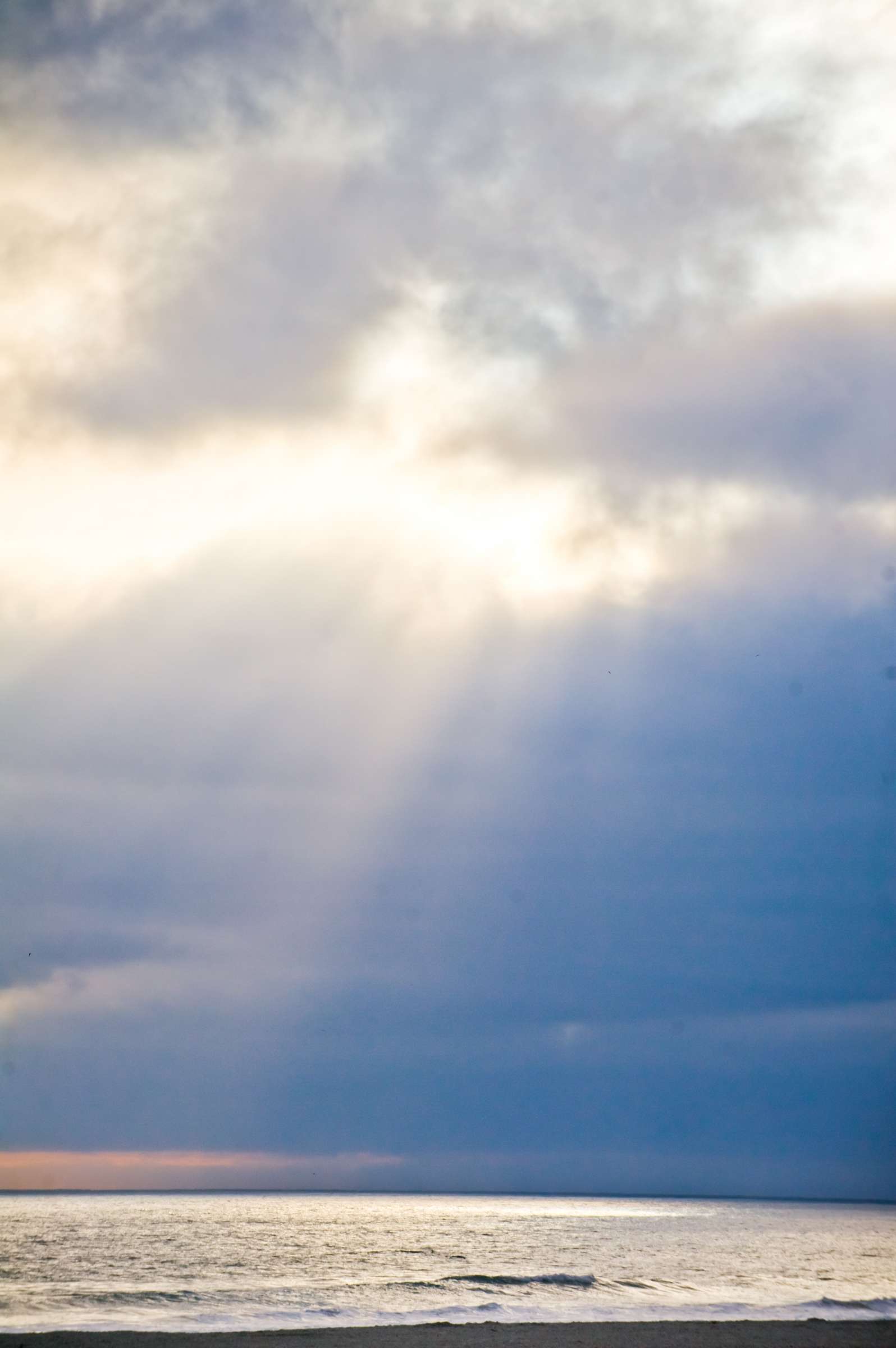 Del Mar Beach Resort Wedding, Pamela and George Wedding Photo #94225 by True Photography