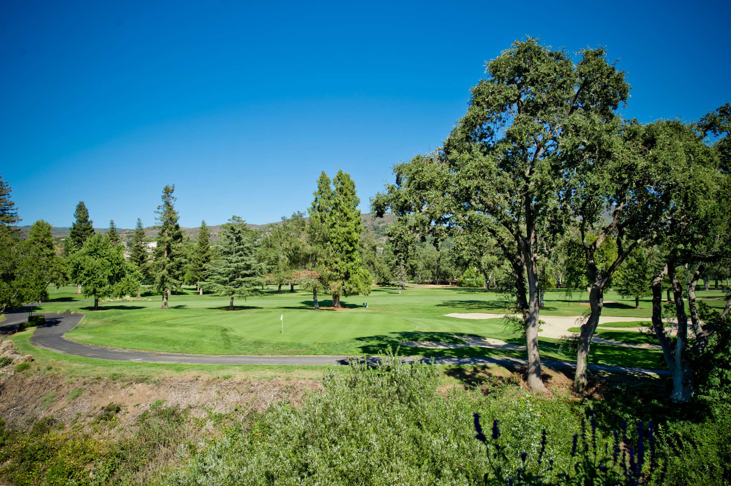 Wedding, Silverado landscapes Wedding Photo #3 by True Photography