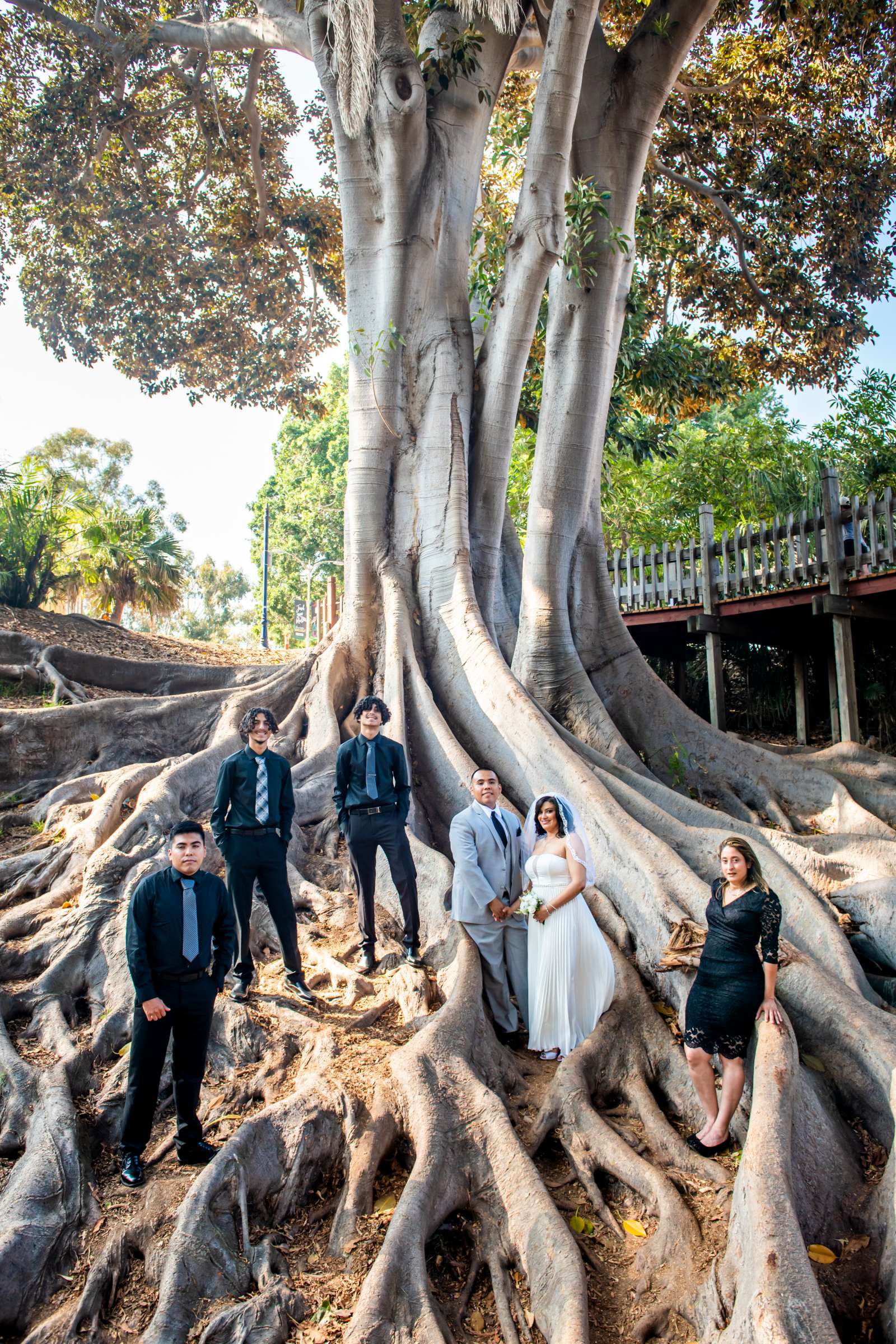 Wedding, Christy and Joe Wedding Photo #613387 by True Photography