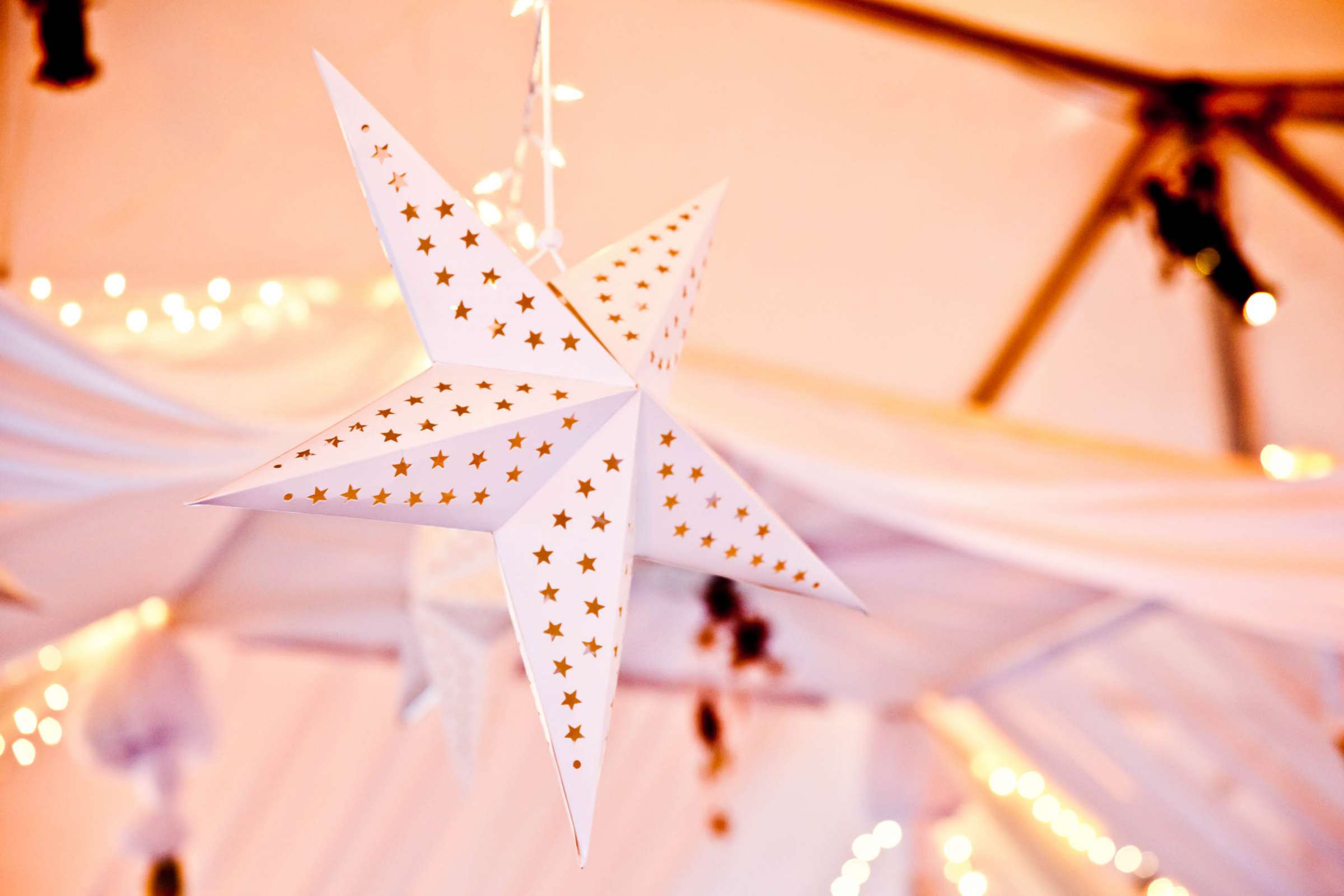 Marriott Marquis San Diego Marina Wedding, Starry Night Wedding Showcase Photo #151 by True Photography