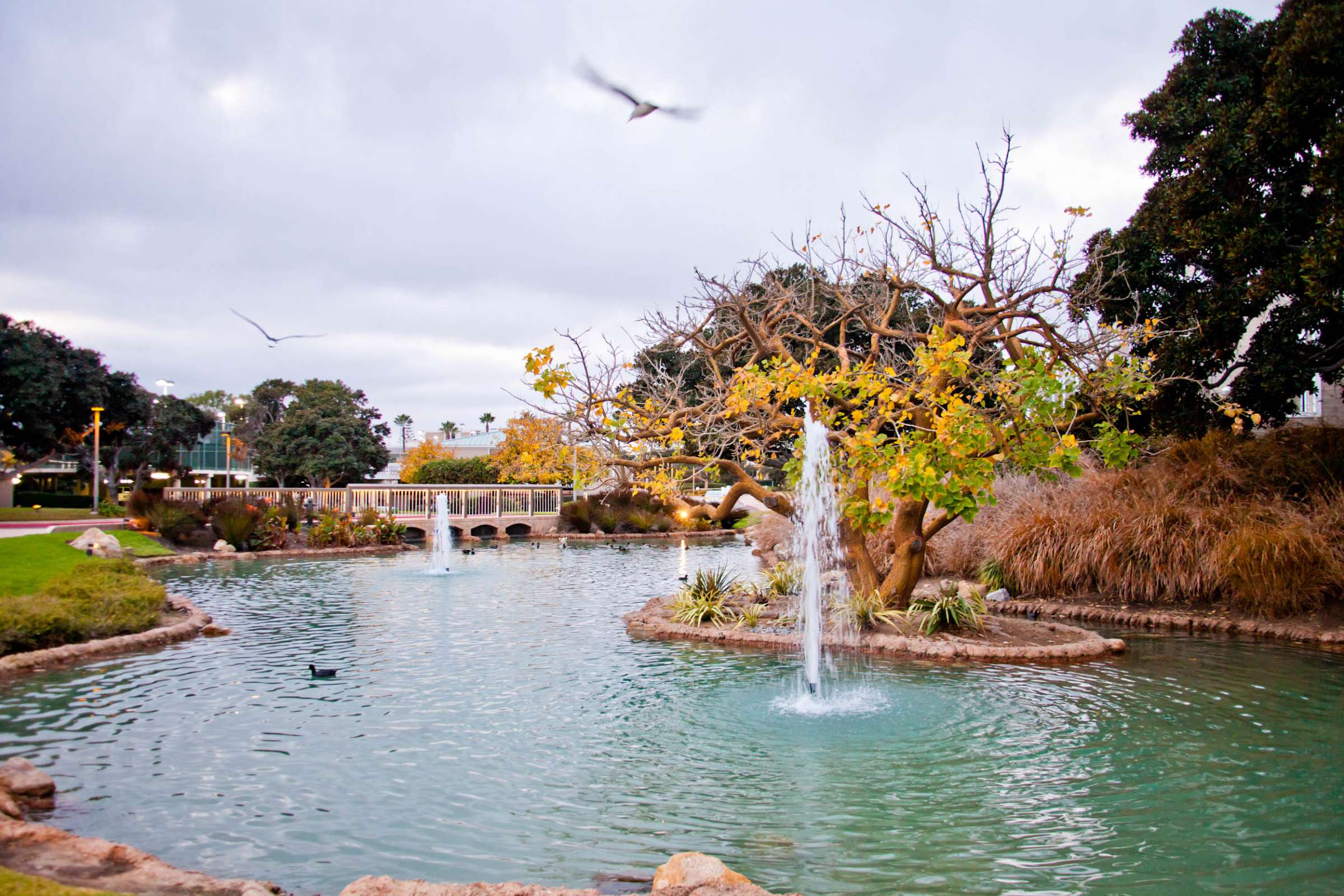 Marriott Marquis San Diego Marina Wedding, Starry Night Wedding Showcase Photo #184 by True Photography