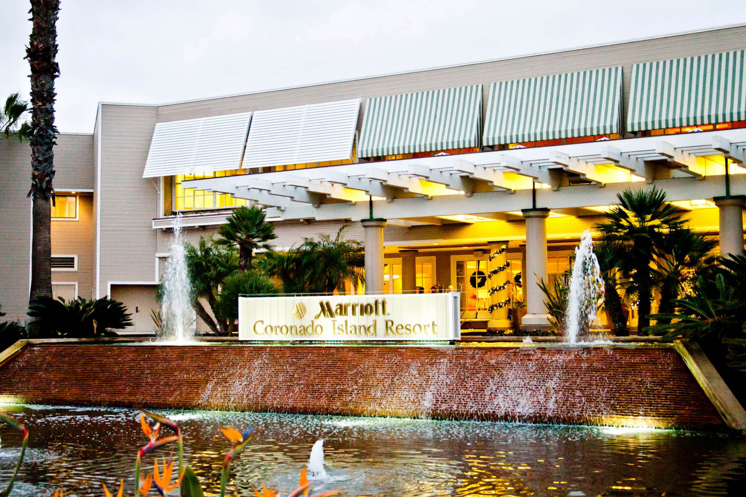 Marriott Marquis San Diego Marina Wedding, Starry Night Wedding Showcase Photo #202 by True Photography