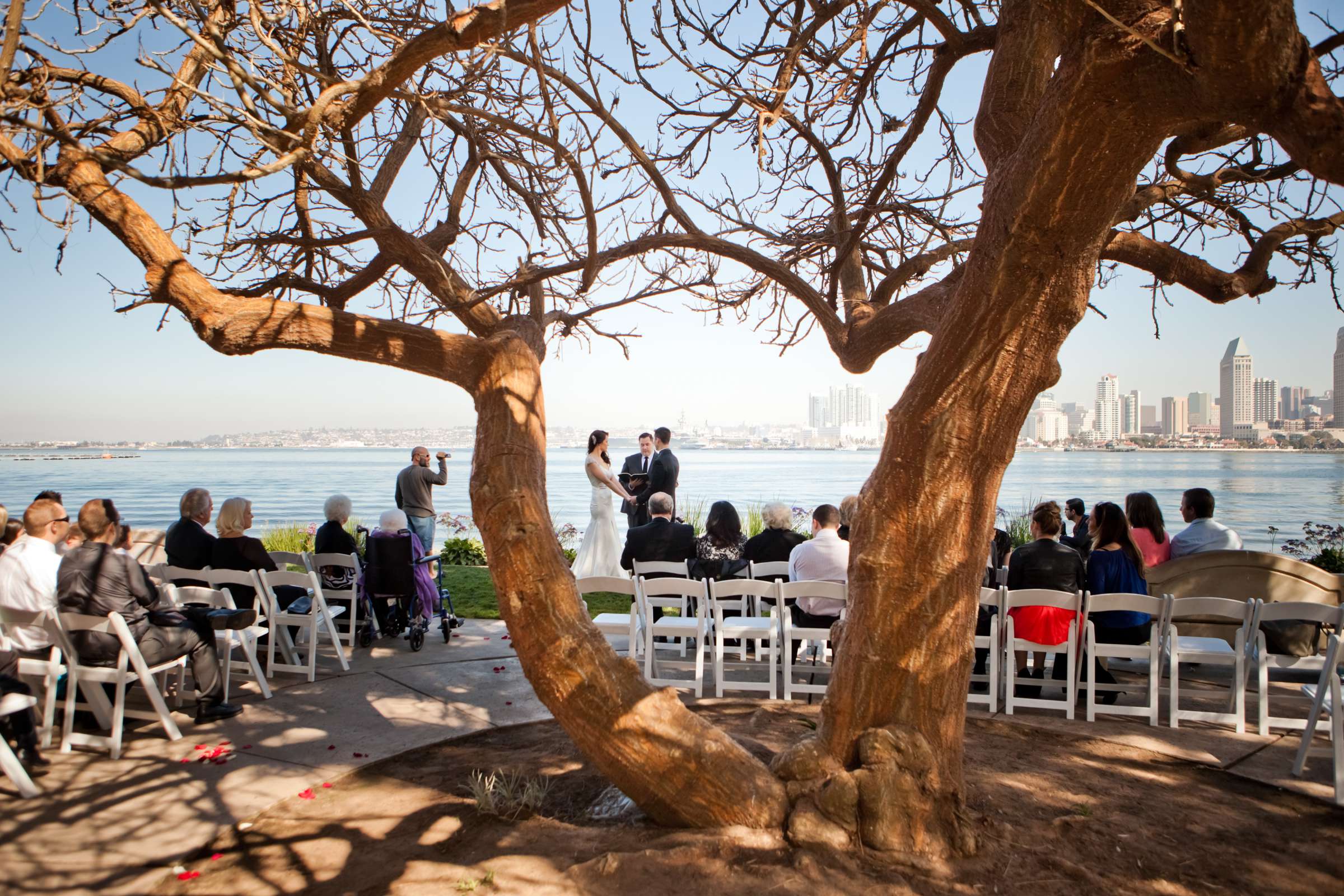 Vin de Syrah Wedding, Christy and Sterling Wedding Photo #114500 by True Photography