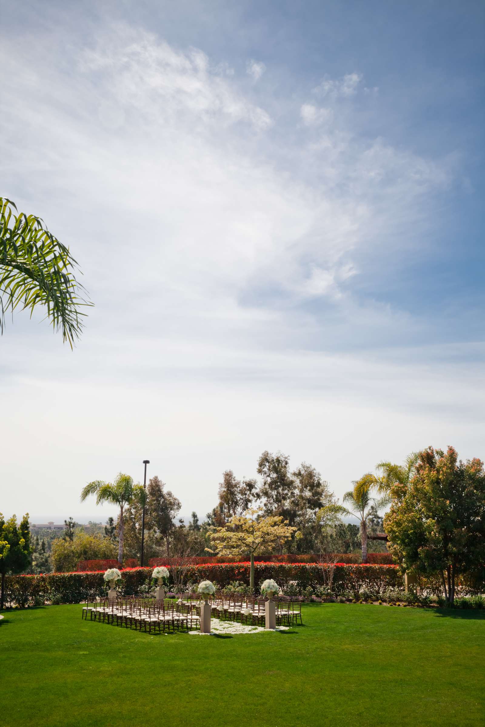 Sheraton Carlsbad Resort and Spa Wedding, Overall shots Wedding Photo #43 by True Photography