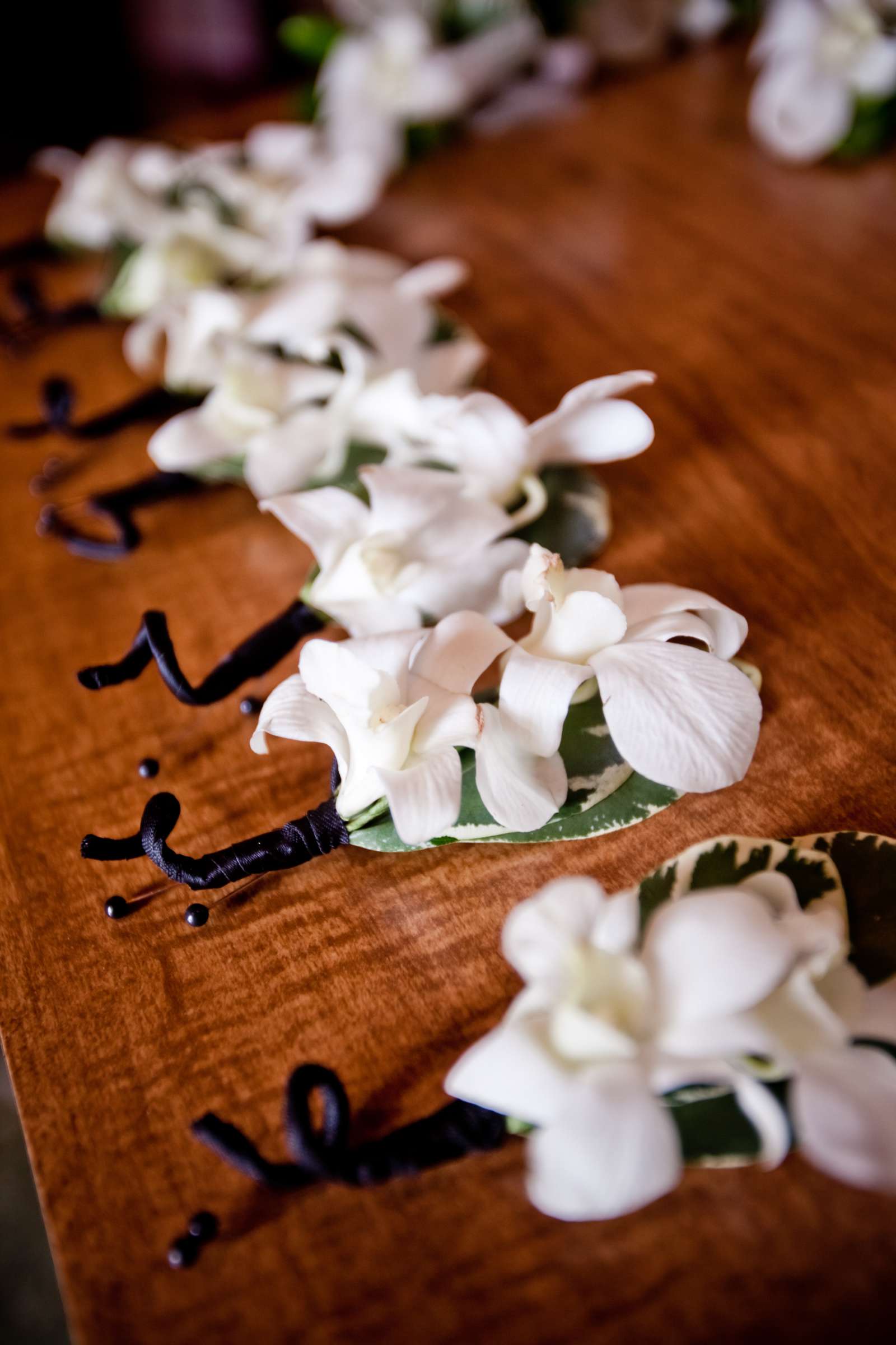 The Westin San Diego Wedding coordinated by Alison Howard Events, Sheila and Jason Wedding Photo #50 by True Photography