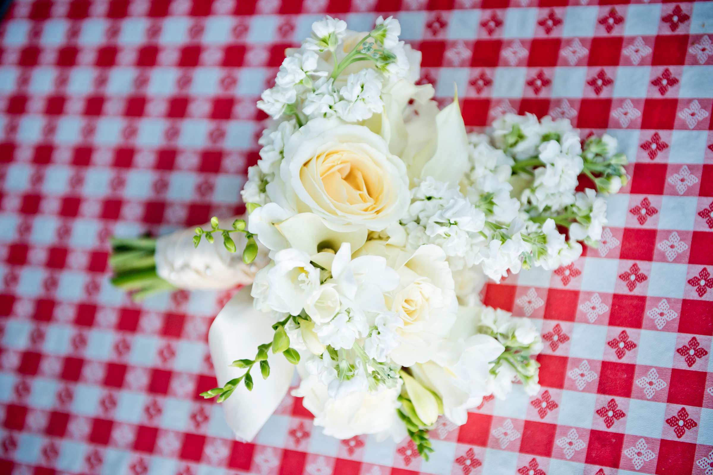 Uva Trattoria -- Napa Valley Wedding, Vanessa and Nick Wedding Photo #70 by True Photography