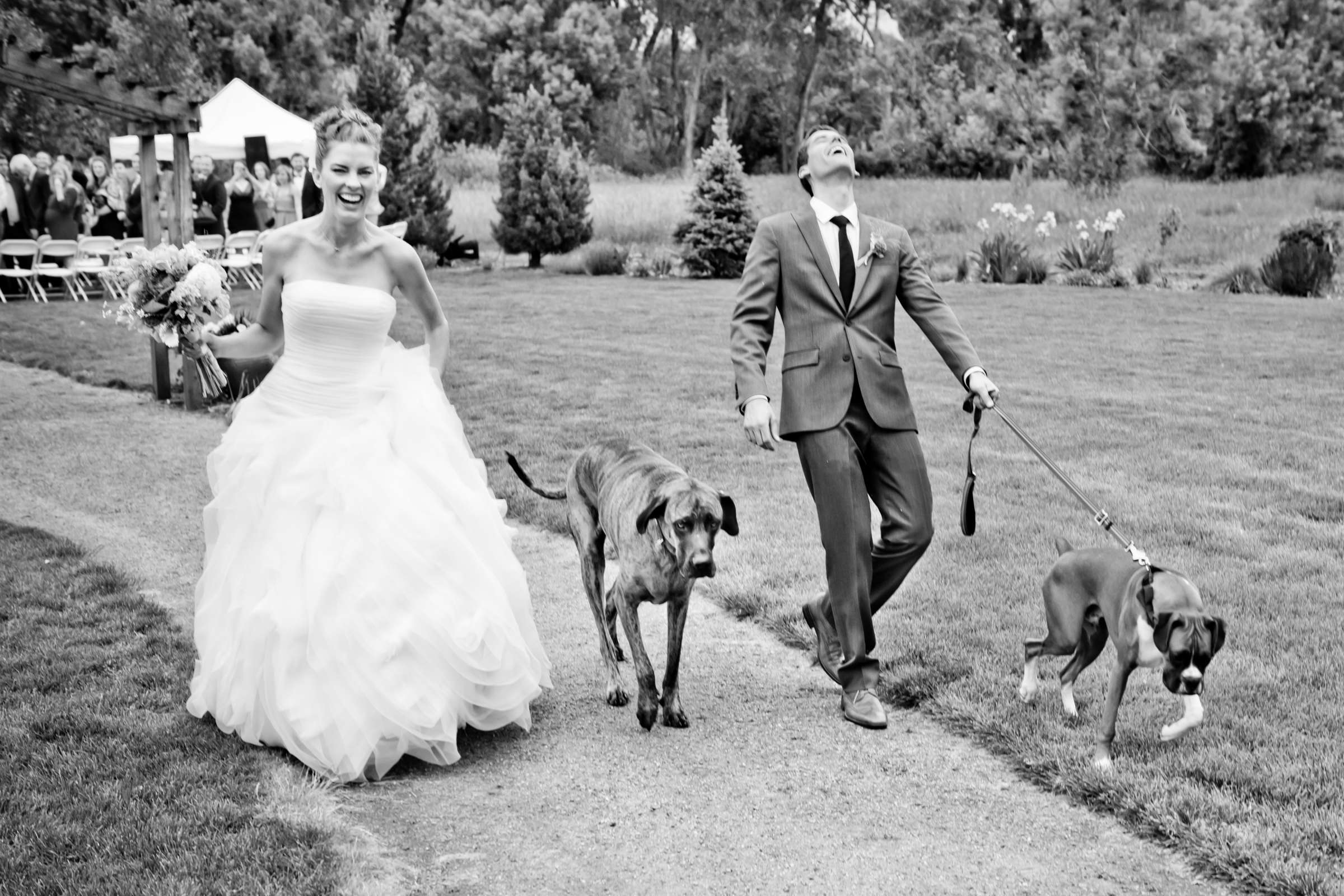 Denver Botanic Gardens at Chatfield Wedding coordinated by Revel and Bloom, Sandra and Craig Wedding Photo #53 by True Photography