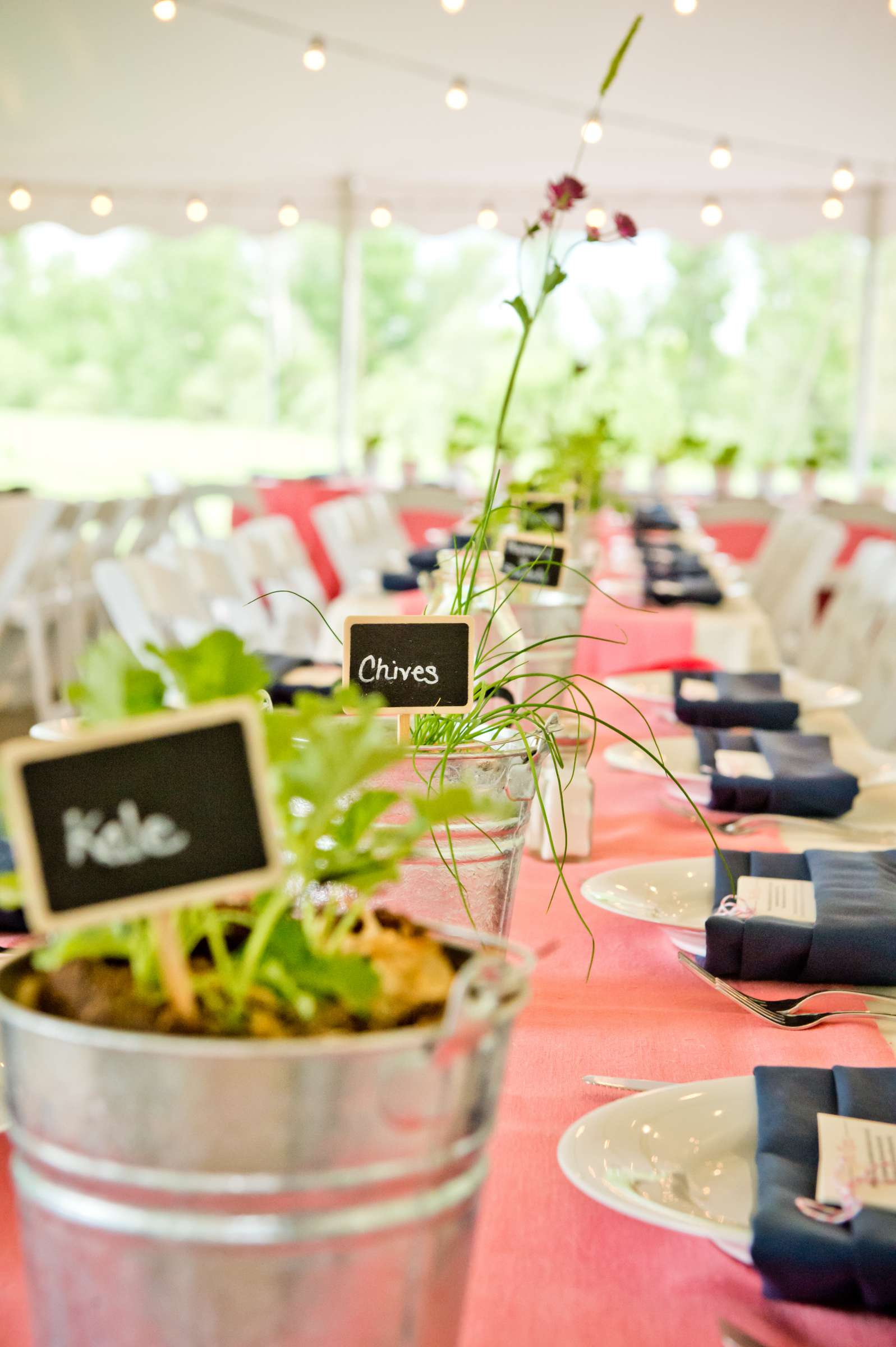 Denver Botanic Gardens at Chatfield Wedding coordinated by Revel and Bloom, Sandra and Craig Wedding Photo #59 by True Photography