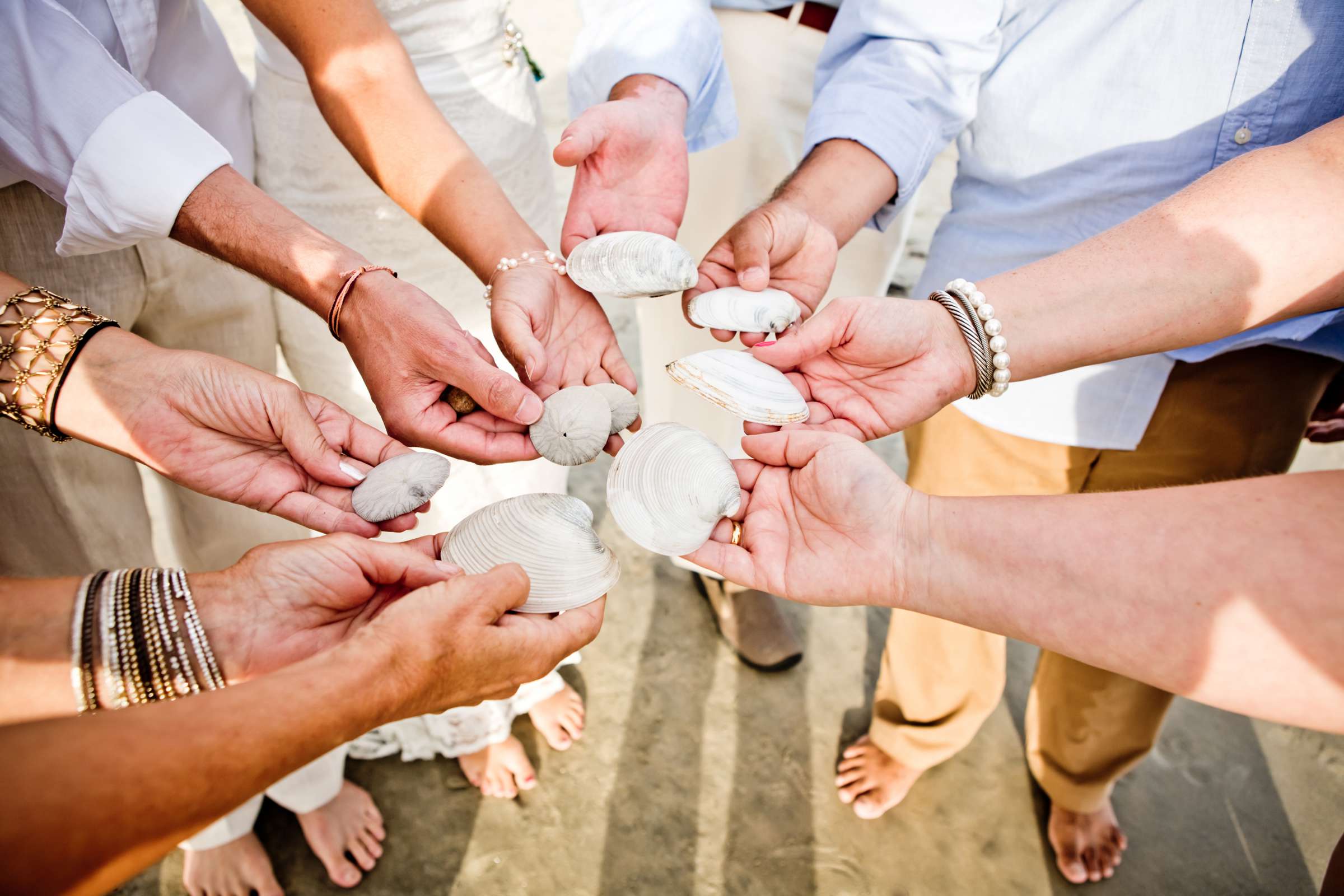 Hotel Del Coronado Wedding, Nicole and Greg Wedding Photo #129958 by True Photography