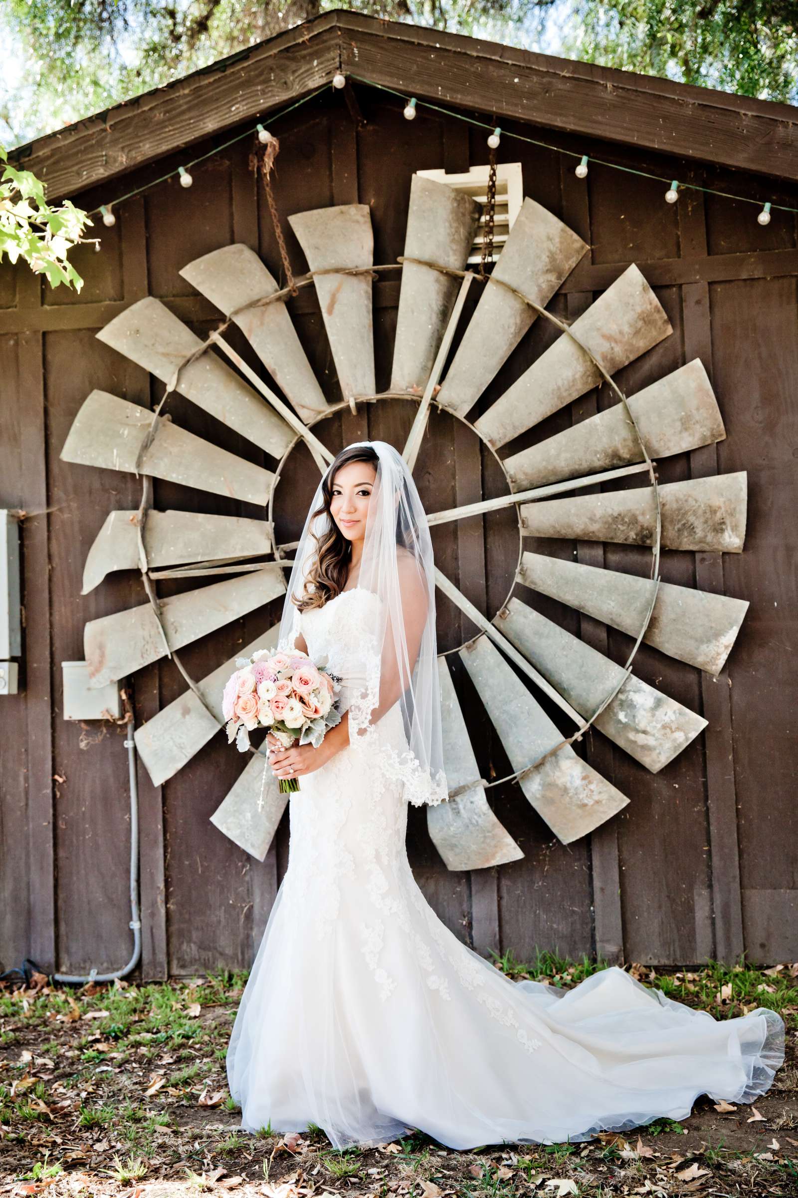 Wedding Dress, Bride at Bernardo Winery Wedding coordinated by Lavish Weddings, Michelle and Richard Wedding Photo #136985 by True Photography