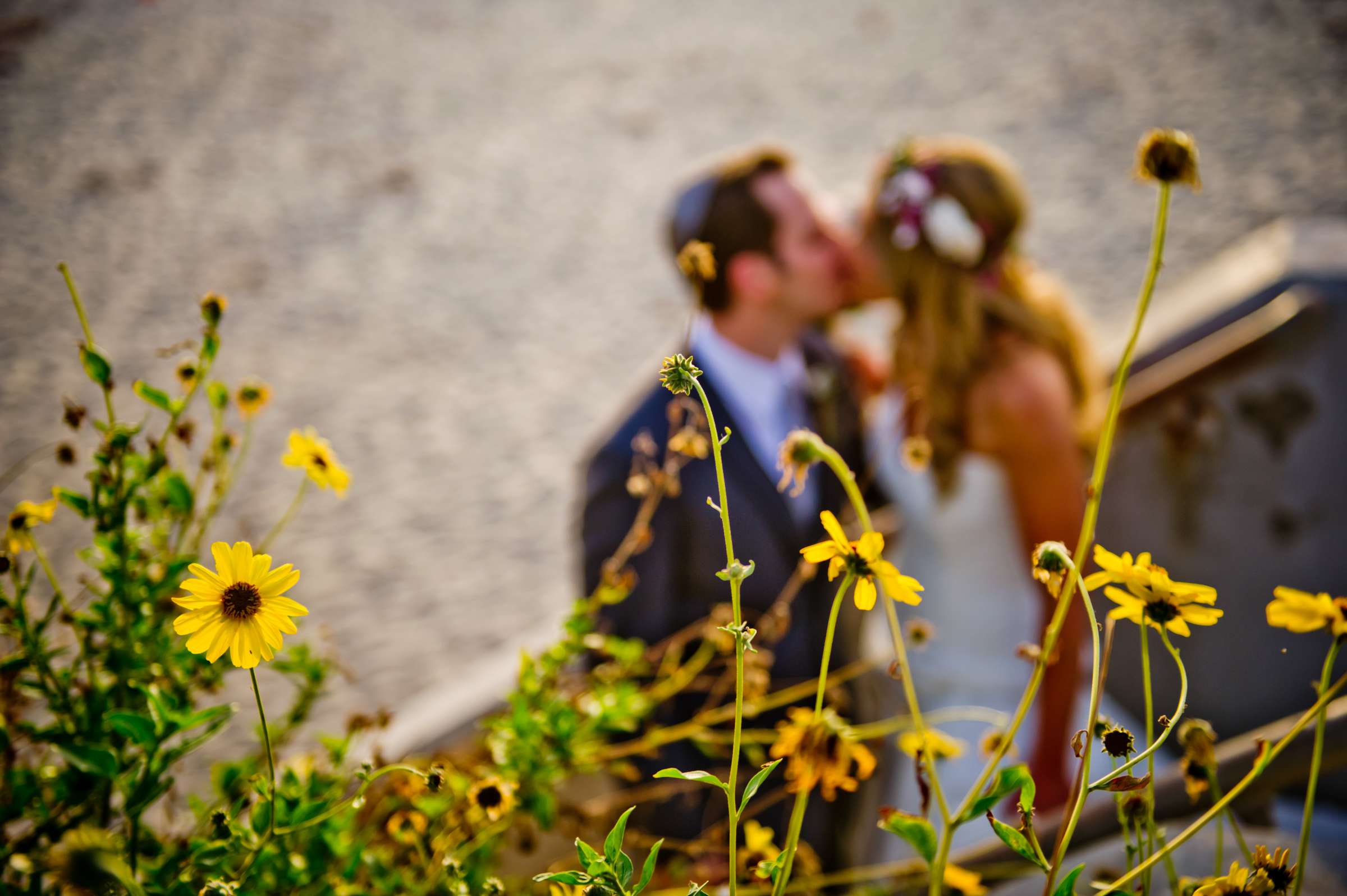 Scripps Seaside Forum Wedding coordinated by I Do Weddings, Adrienne and Noah Wedding Photo #17 by True Photography