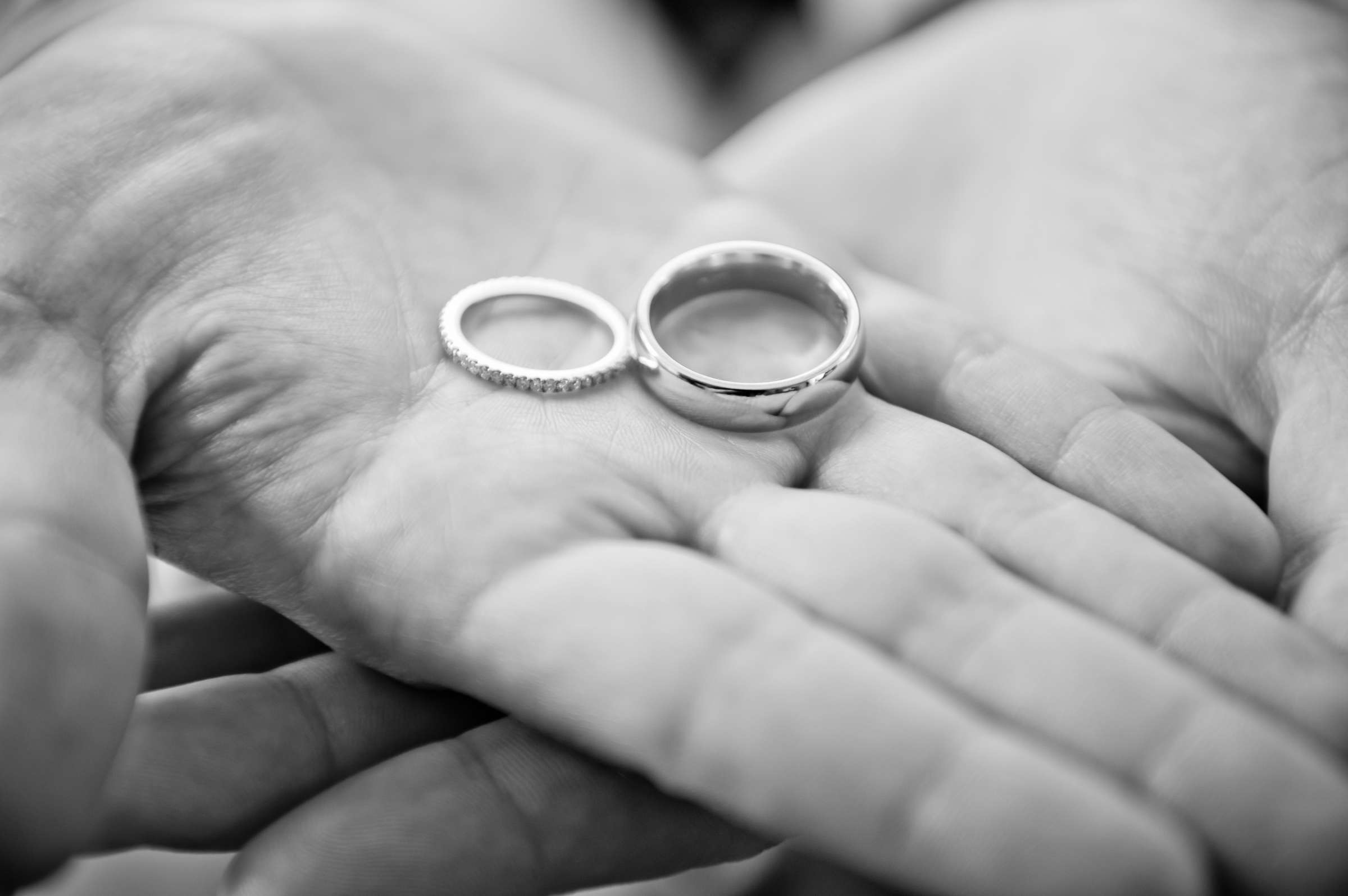 Scripps Seaside Forum Wedding coordinated by I Do Weddings, Adrienne and Noah Wedding Photo #37 by True Photography