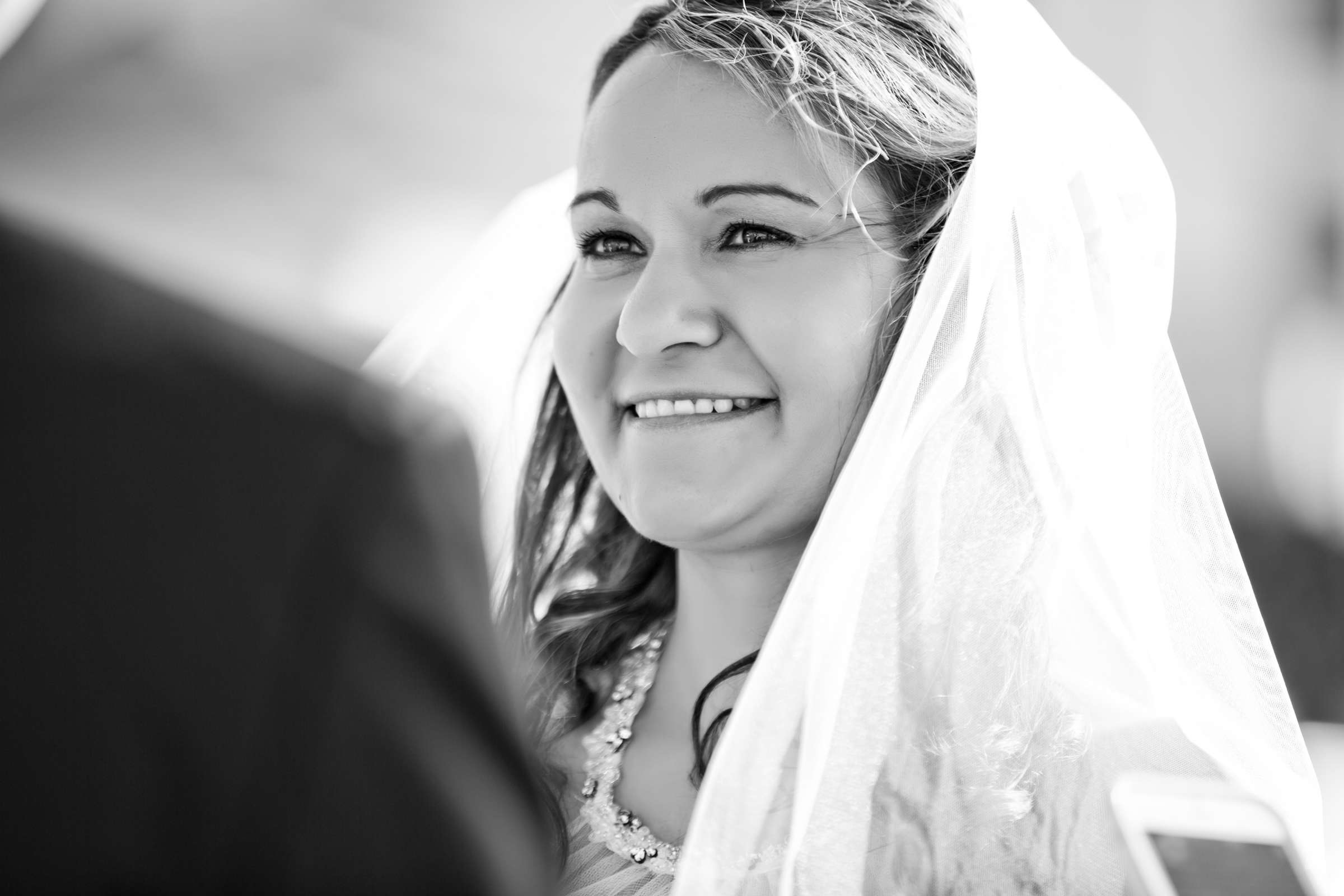 Eddie V's Wedding, Alla and Brandon Wedding Photo #147646 by True Photography