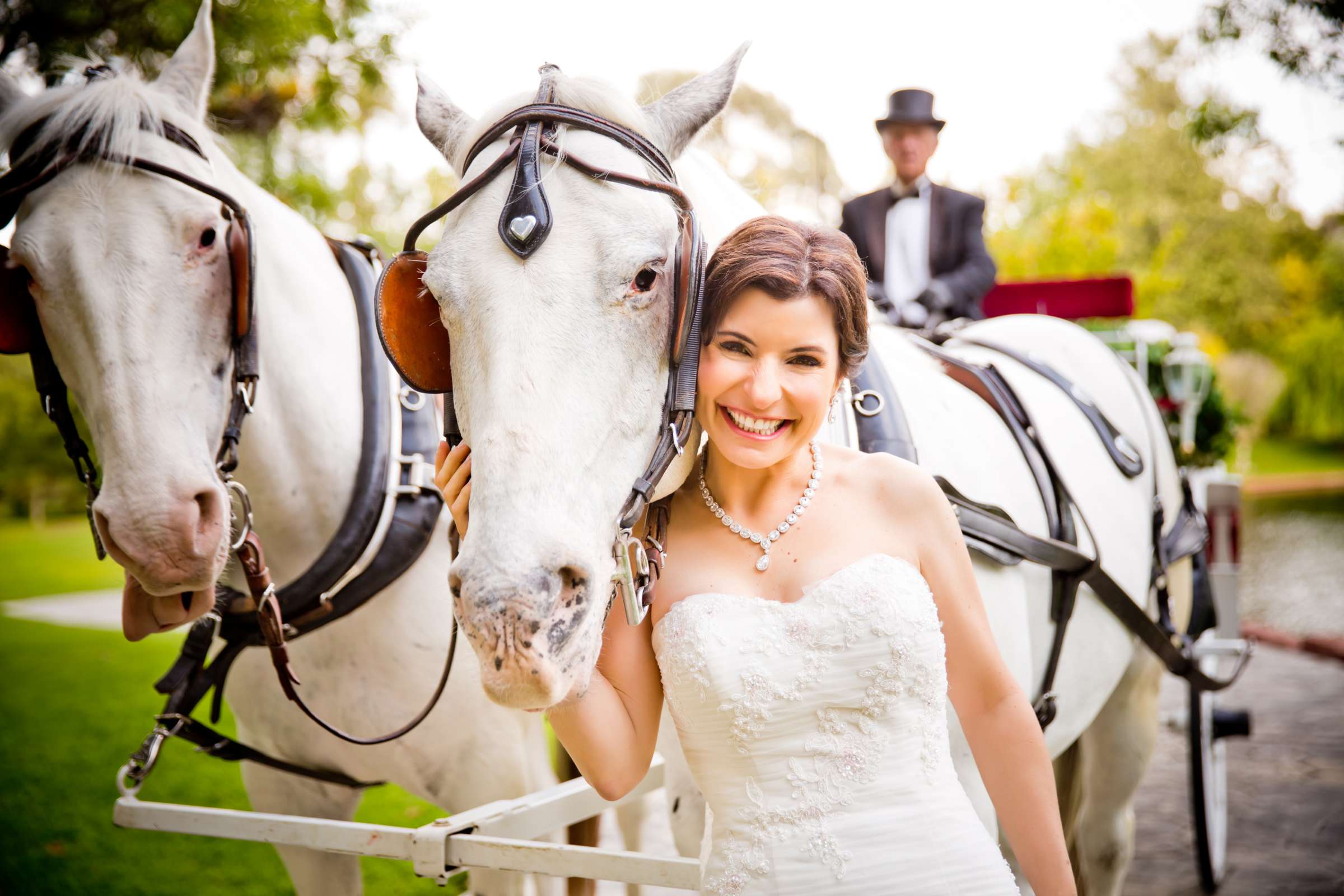 Grand Tradition Estate Wedding coordinated by Grand Tradition Estate, Elizabeth and Jeffrey Wedding Photo #151833 by True Photography