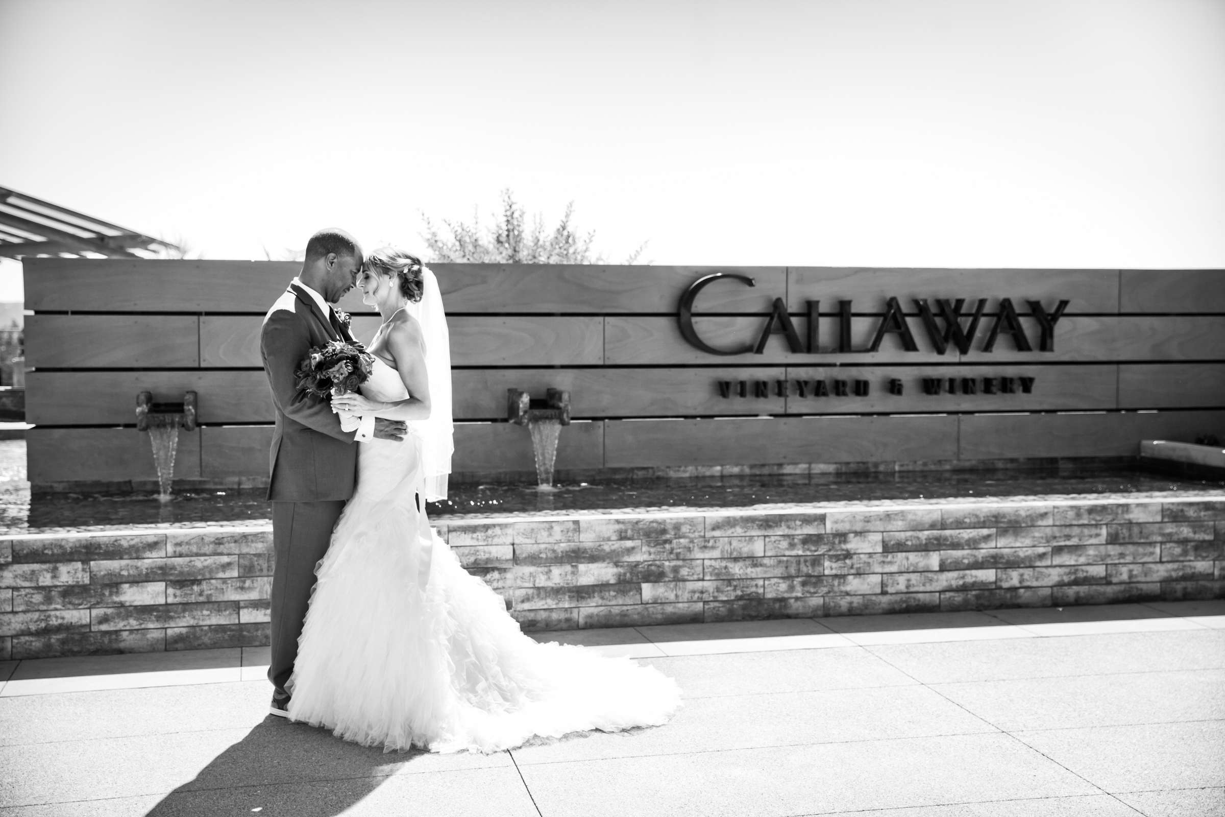 Callaway Vineyards & Winery Wedding, Tara and Sam Wedding Photo #156491 by True Photography