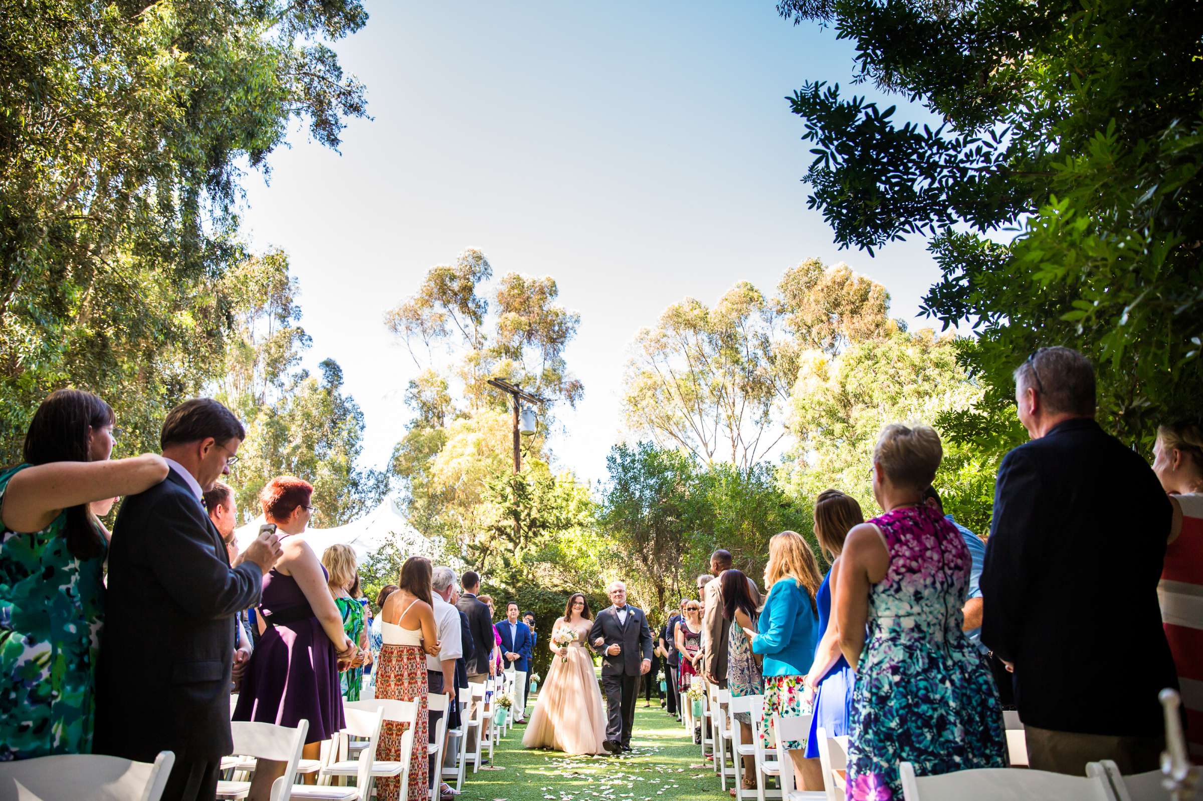 Twin Oaks House & Gardens Wedding Estate Wedding coordinated by Twin Oaks House & Gardens Wedding Estate, Rebecca and Daniel Wedding Photo #163712 by True Photography