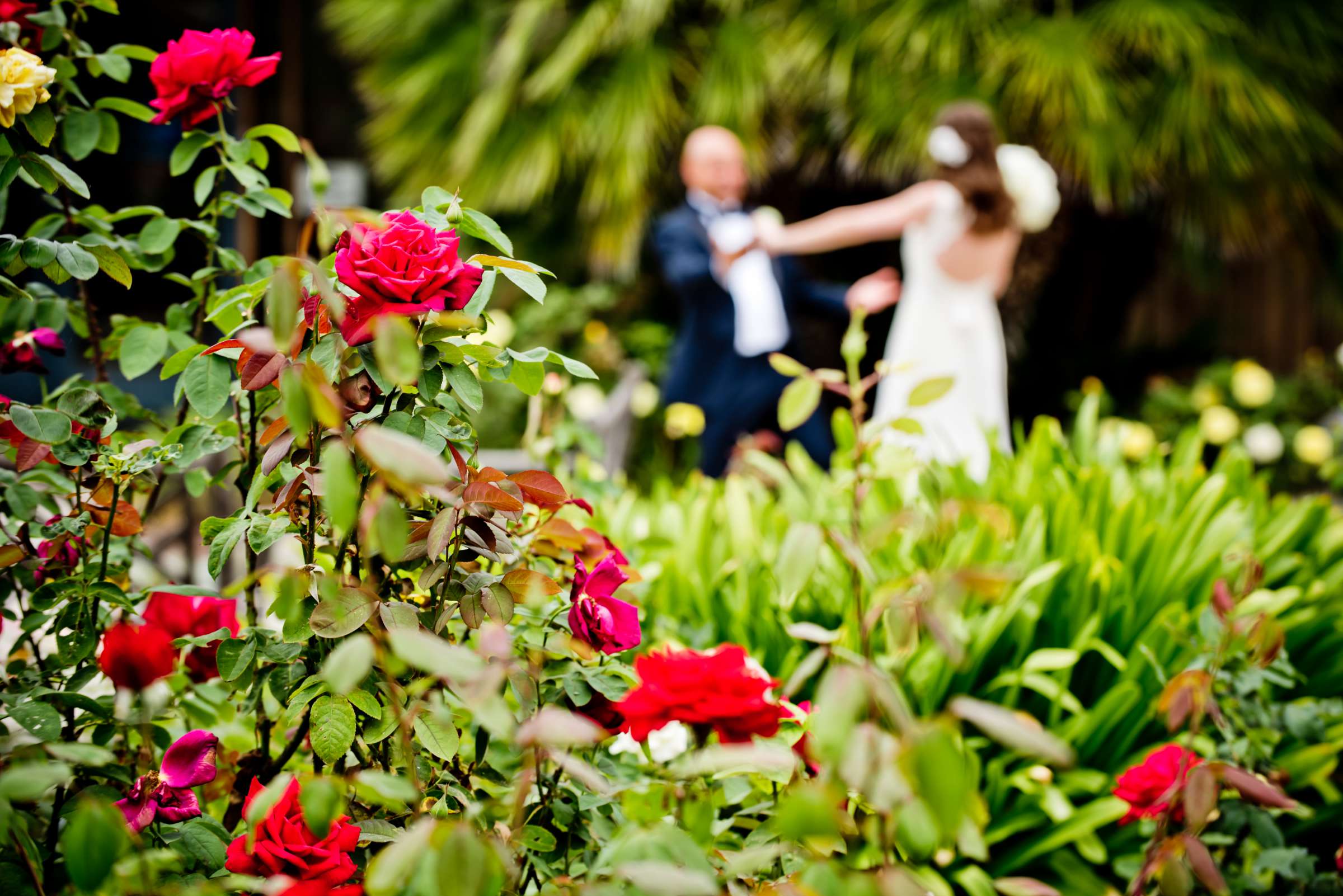 Scripps Seaside Forum Wedding, Casey and Diego Wedding Photo #164350 by True Photography