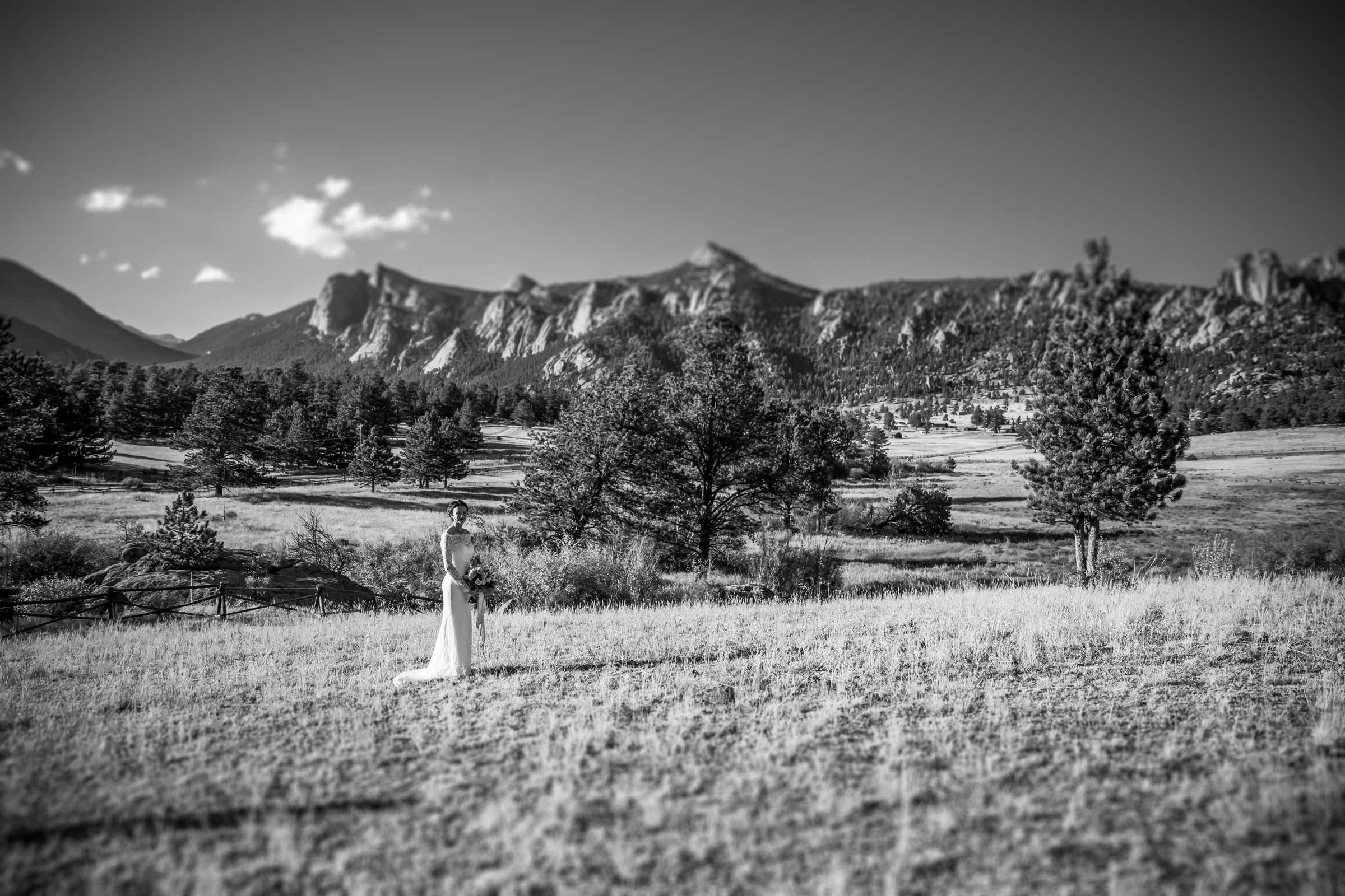 Black Canyon Inn Wedding, Rebecca and Mark Wedding Photo #55 by True Photography