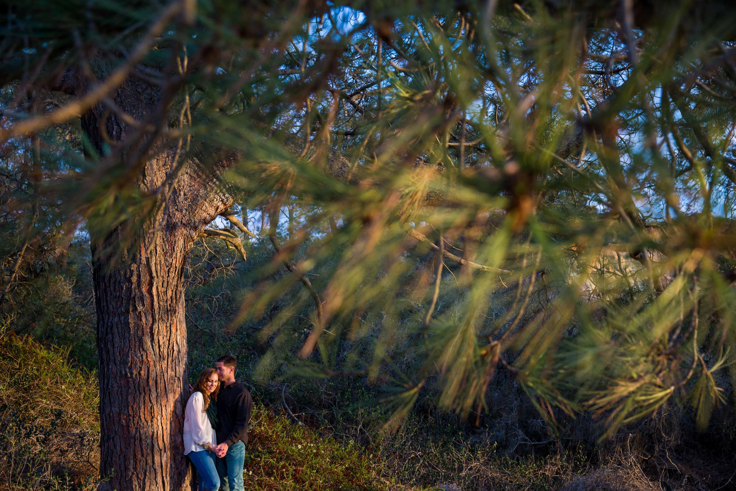 Wedding, screen sharpen Wedding Photo #180879 by True Photography