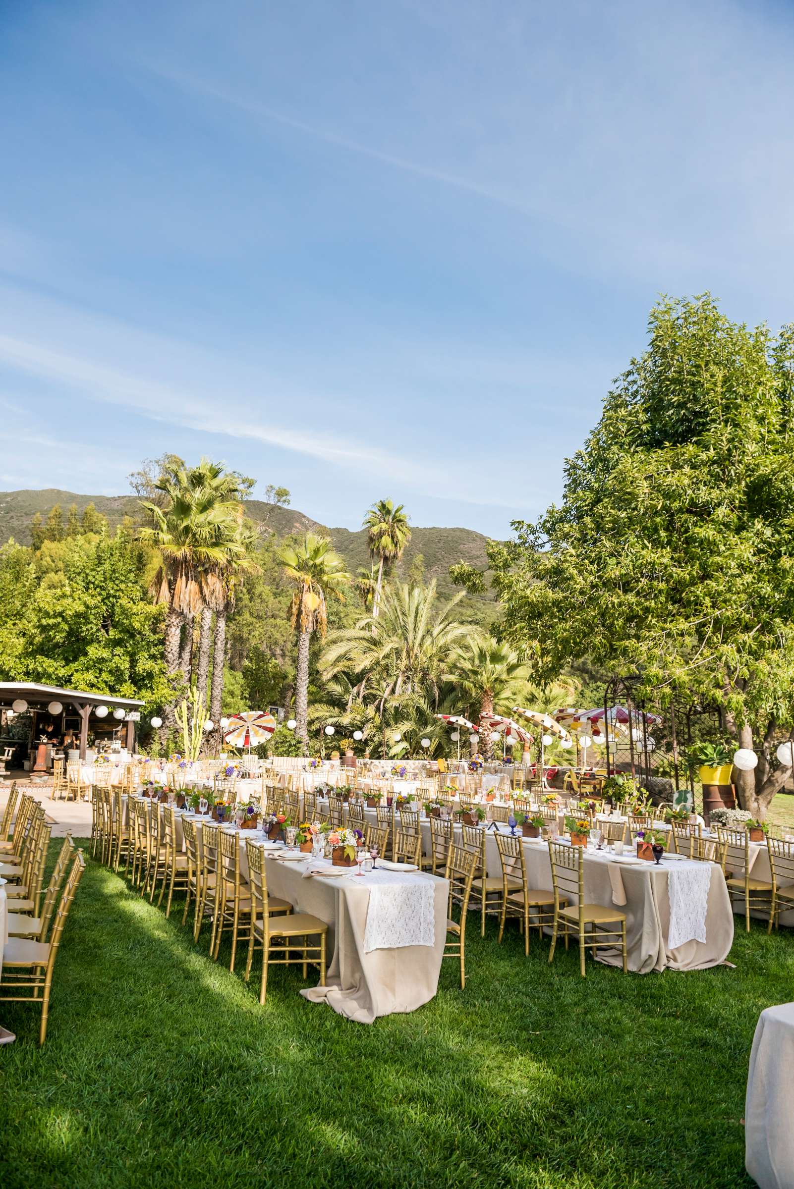 Condors Nest Ranch Wedding, Carly and Cody Wedding Photo #181120 by True Photography