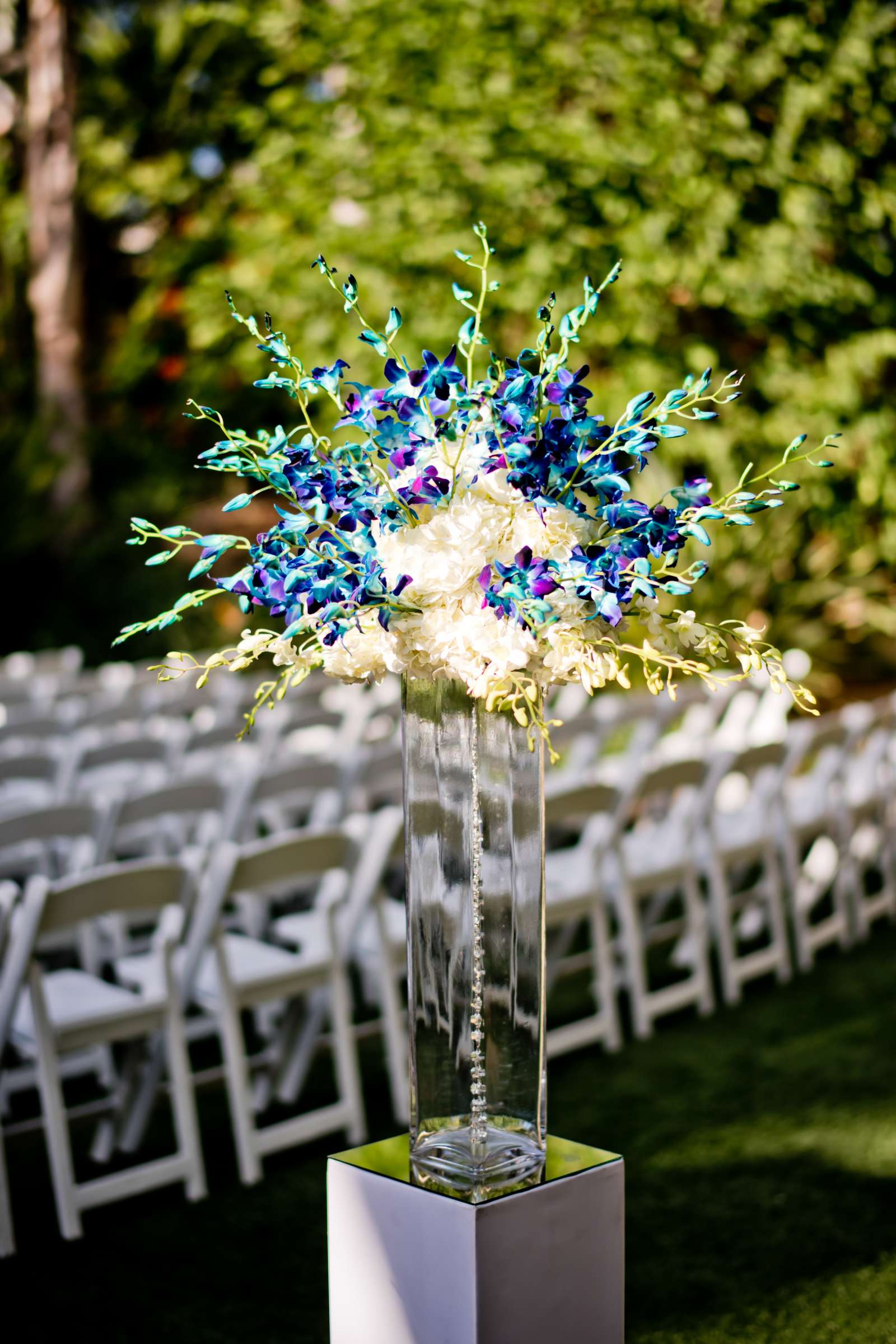 Grand Tradition Estate Wedding coordinated by Grand Tradition Estate, Dee and Chris Wedding Photo #186758 by True Photography