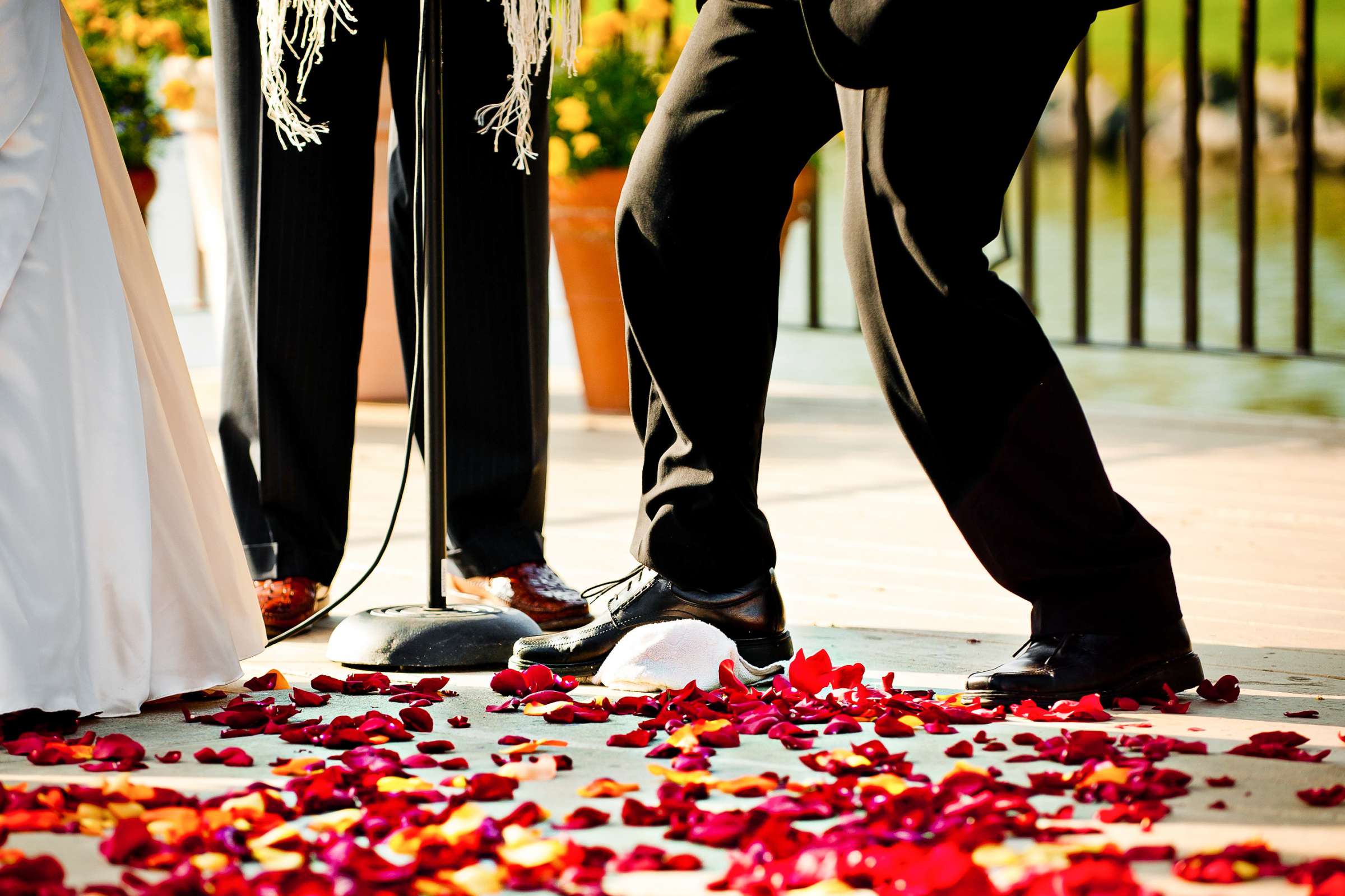 Fairbanks Ranch Country Club Wedding, Shawna and Brad Wedding Photo #190713 by True Photography