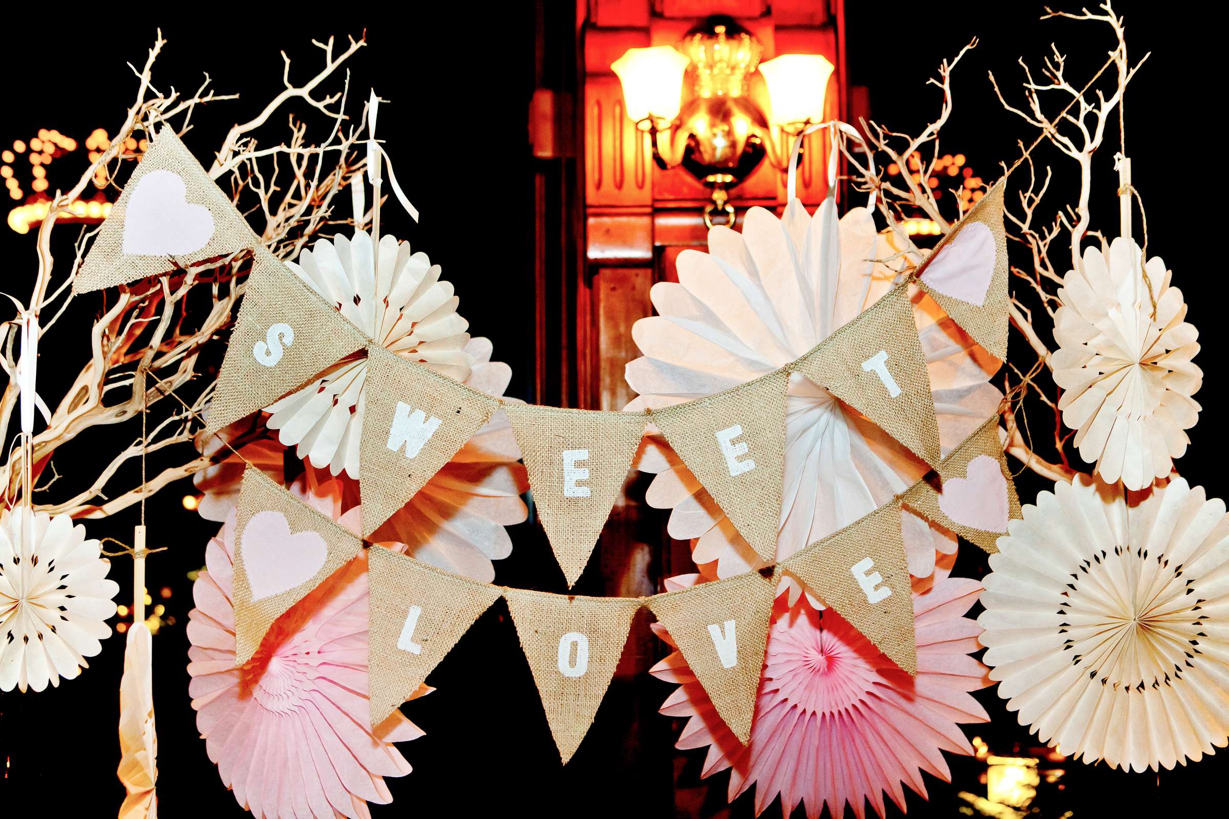 Hotel Del Coronado Wedding coordinated by Creative Affairs Inc, Mimi and Chad Wedding Photo #196011 by True Photography