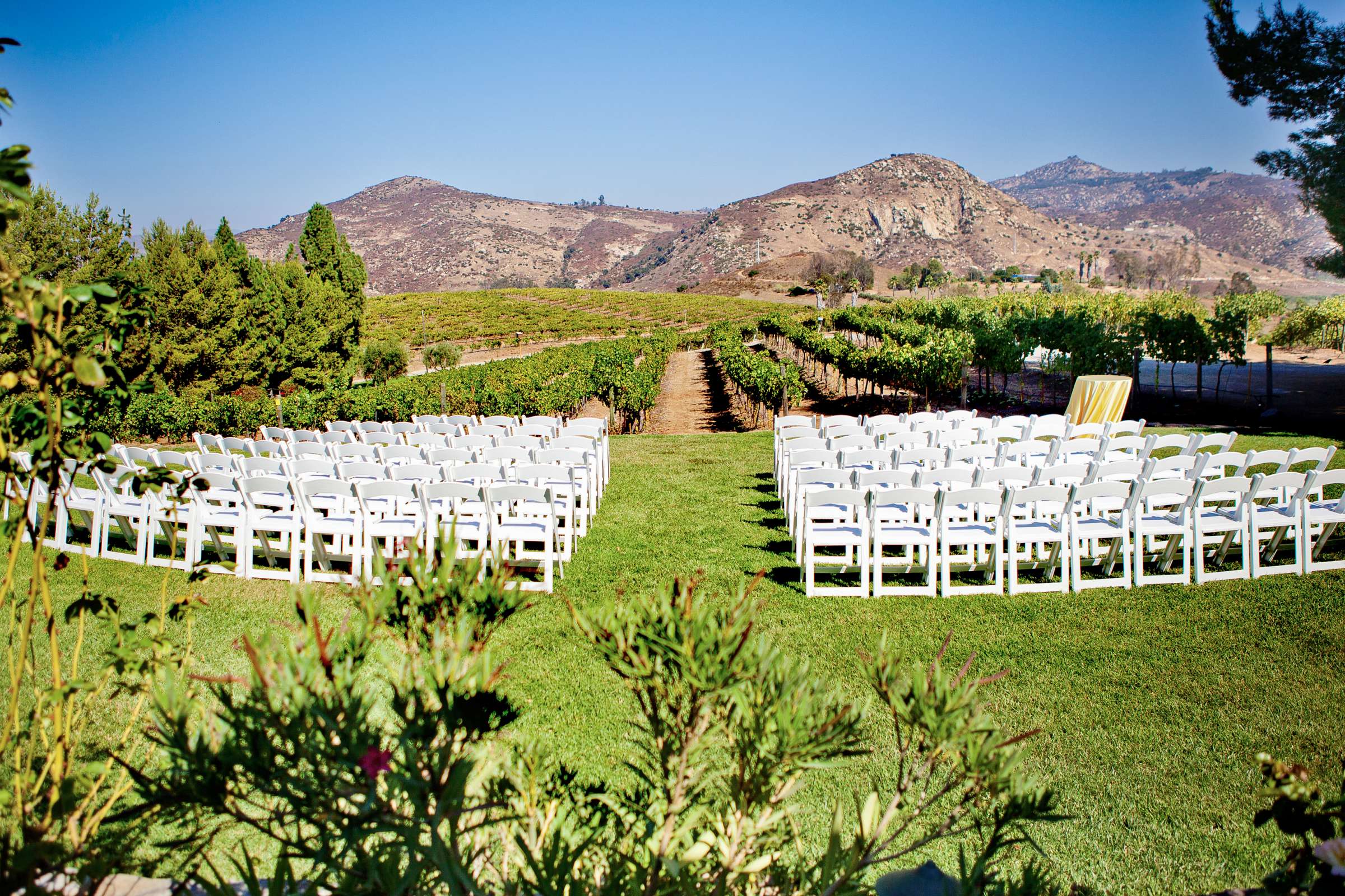 Orfila Vineyards Wedding, Kim and Austin Wedding Photo #199918 by True Photography