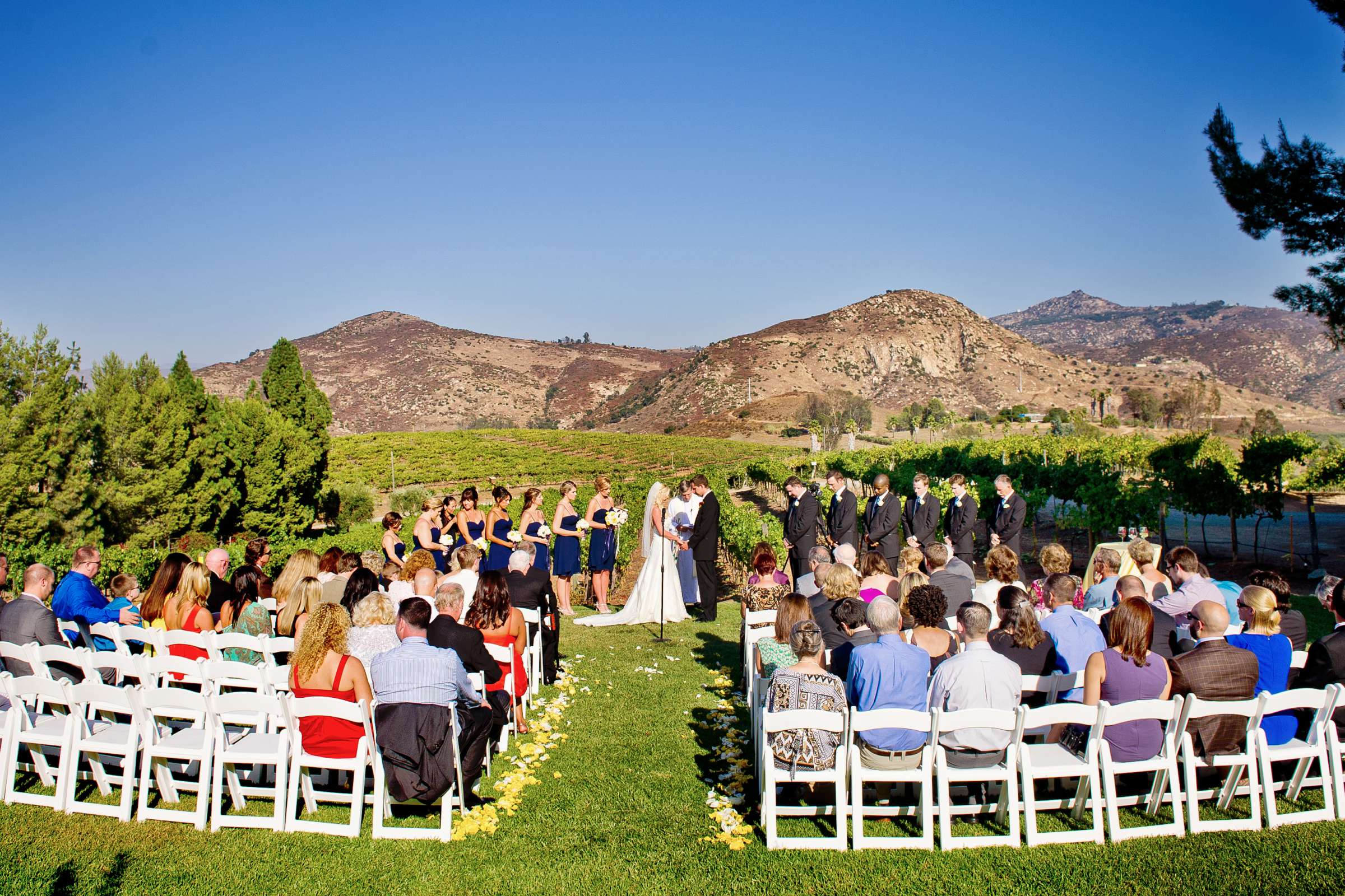 Orfila Vineyards Wedding, Kim and Austin Wedding Photo #199940 by True Photography