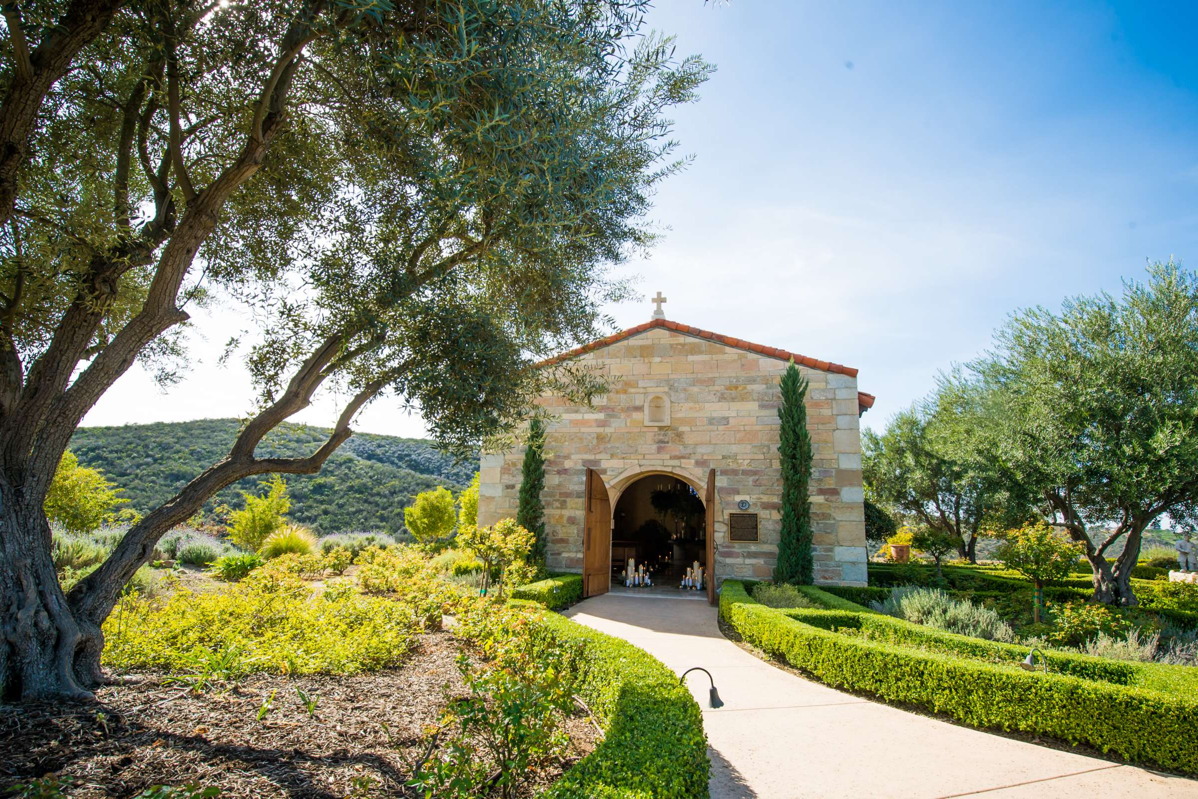 Vista Valley Country Club Wedding coordinated by Details Defined, Summer Fun in February Wedding Photo #201973 by True Photography