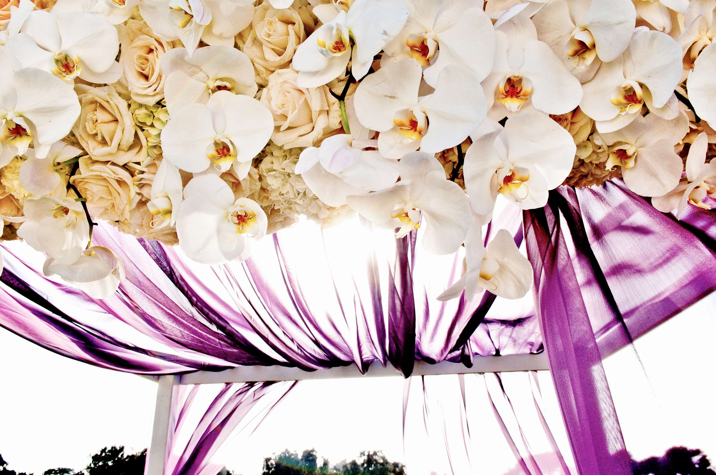 Lodge at Torrey Pines Wedding coordinated by Crown Weddings, Natasha and James Wedding Photo #202554 by True Photography