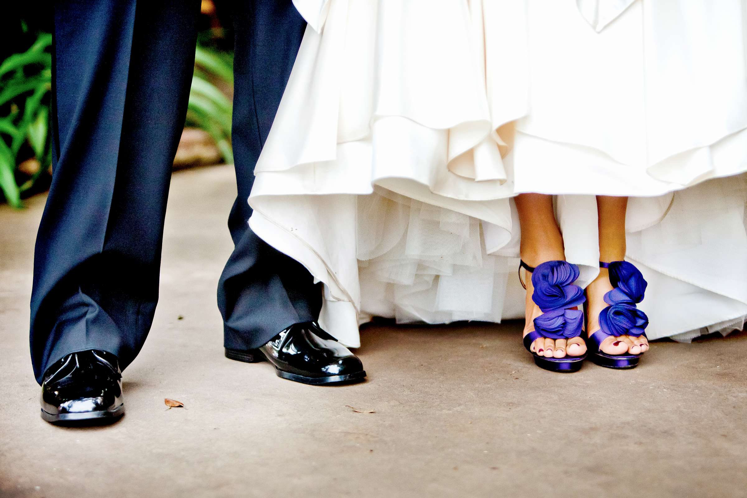 Bahia Hotel Wedding coordinated by SD Weddings by Gina, Kirstie and Pete Wedding Photo #203286 by True Photography