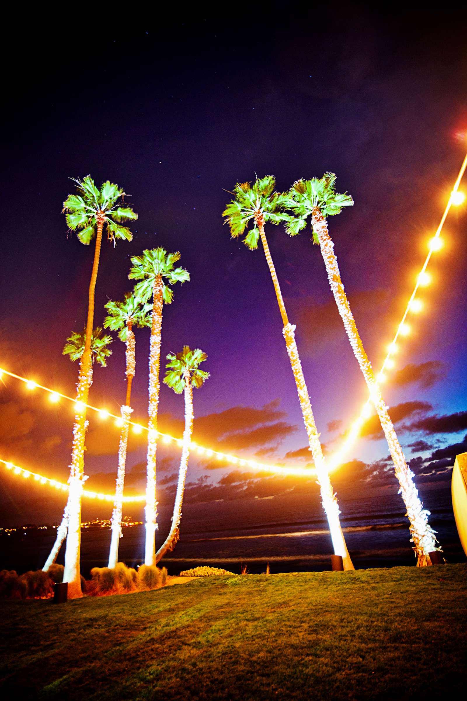 Scripps Seaside Forum Wedding coordinated by EverAfter Events, Danielle and Chris Wedding Photo #205882 by True Photography