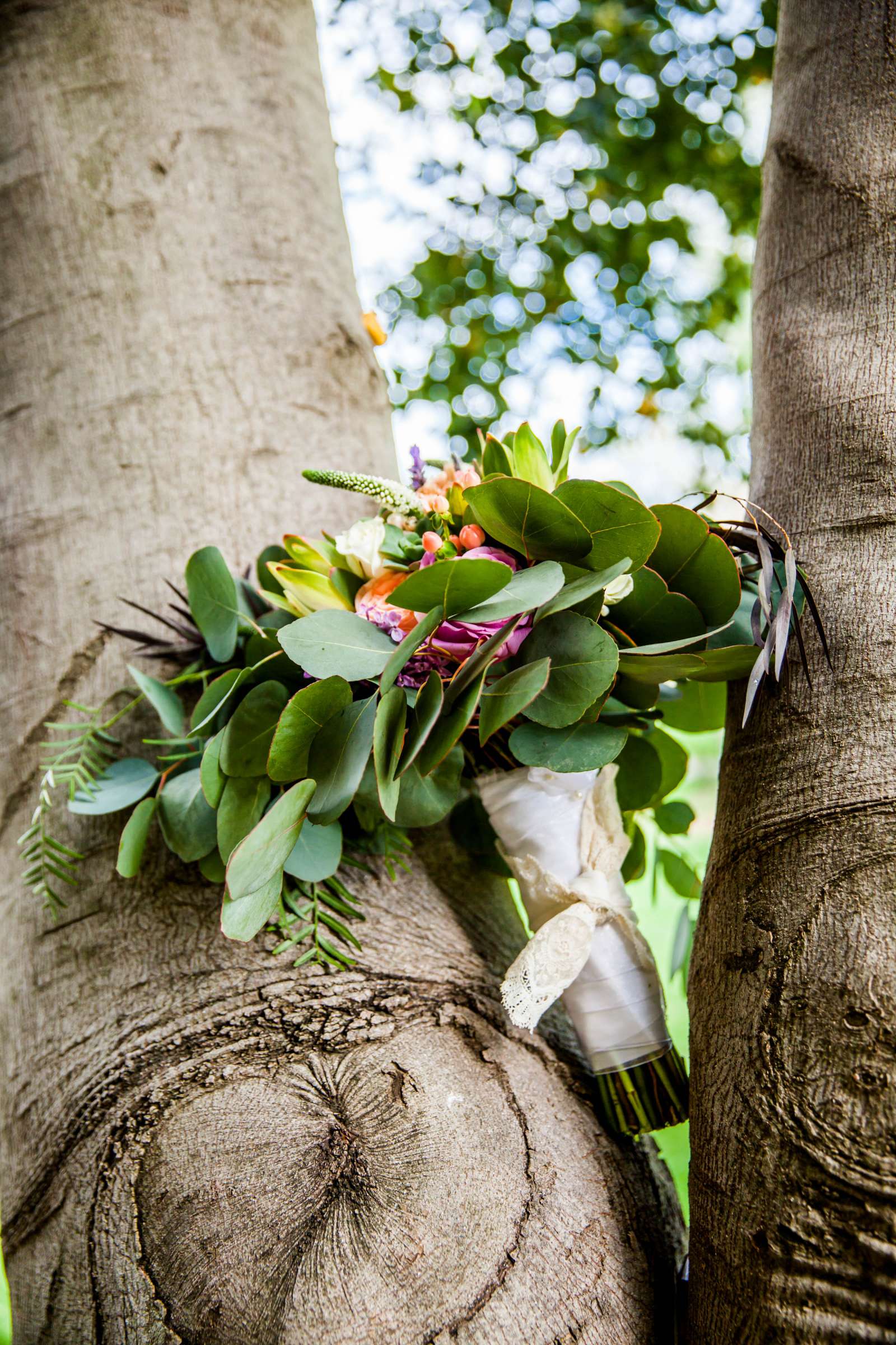 Temecula Creek Inn Wedding, Therese and Joseph Wedding Photo #19 by True Photography