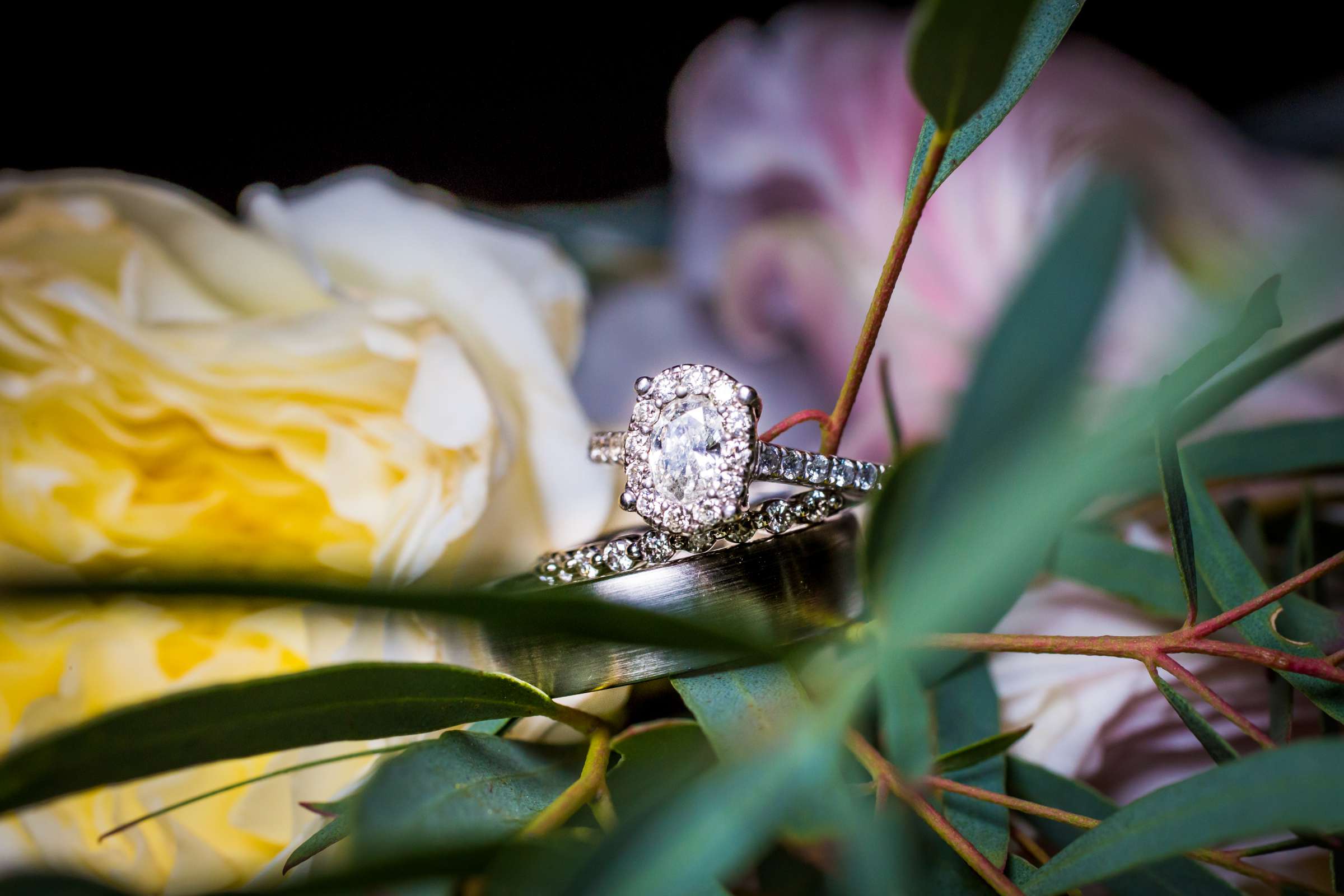 Scripps Seaside Forum Wedding, Crista and Sean Wedding Photo #210795 by True Photography