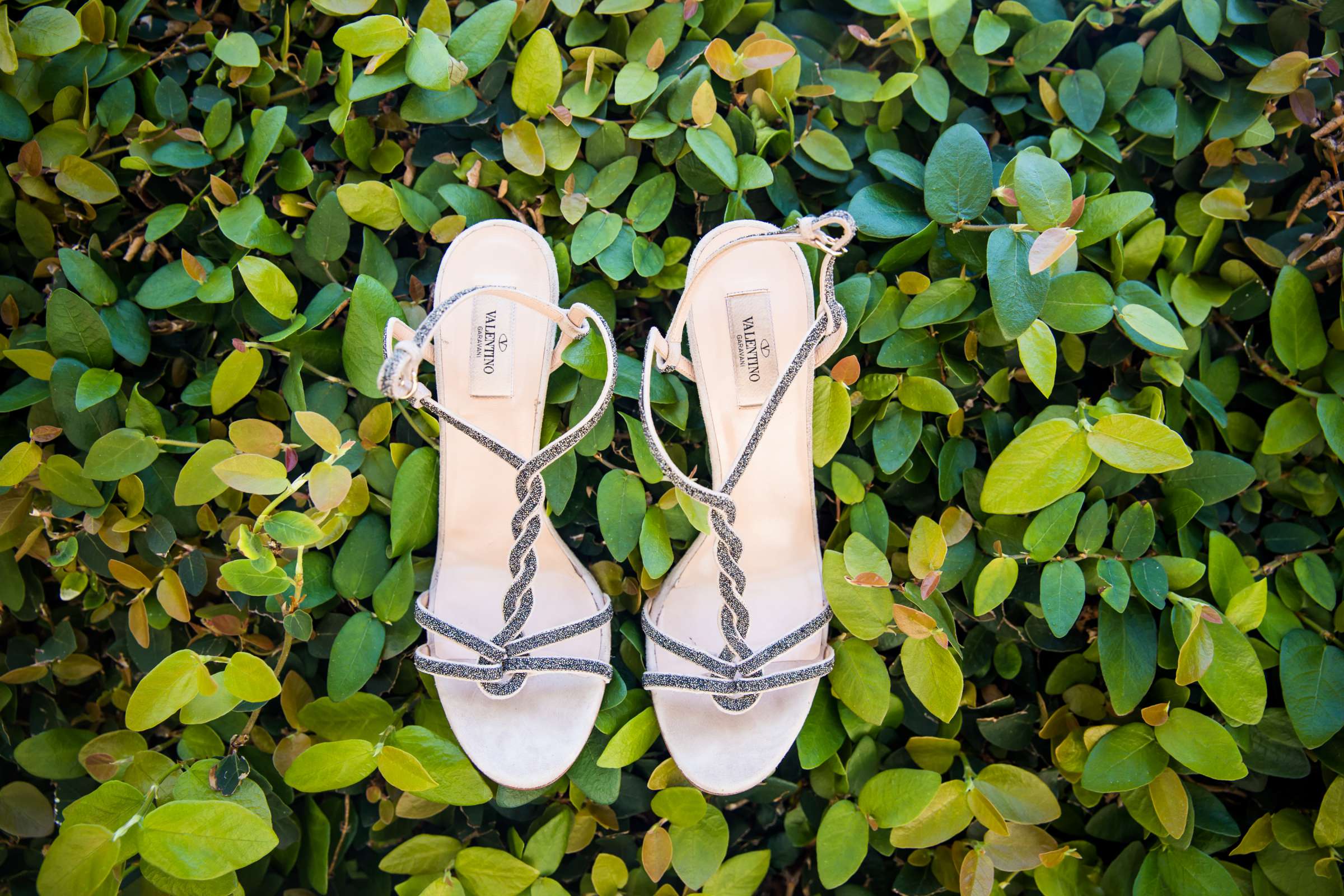 Scripps Seaside Forum Wedding coordinated by First Comes Love Weddings & Events, Lara and Jose Wedding Photo #14 by True Photography