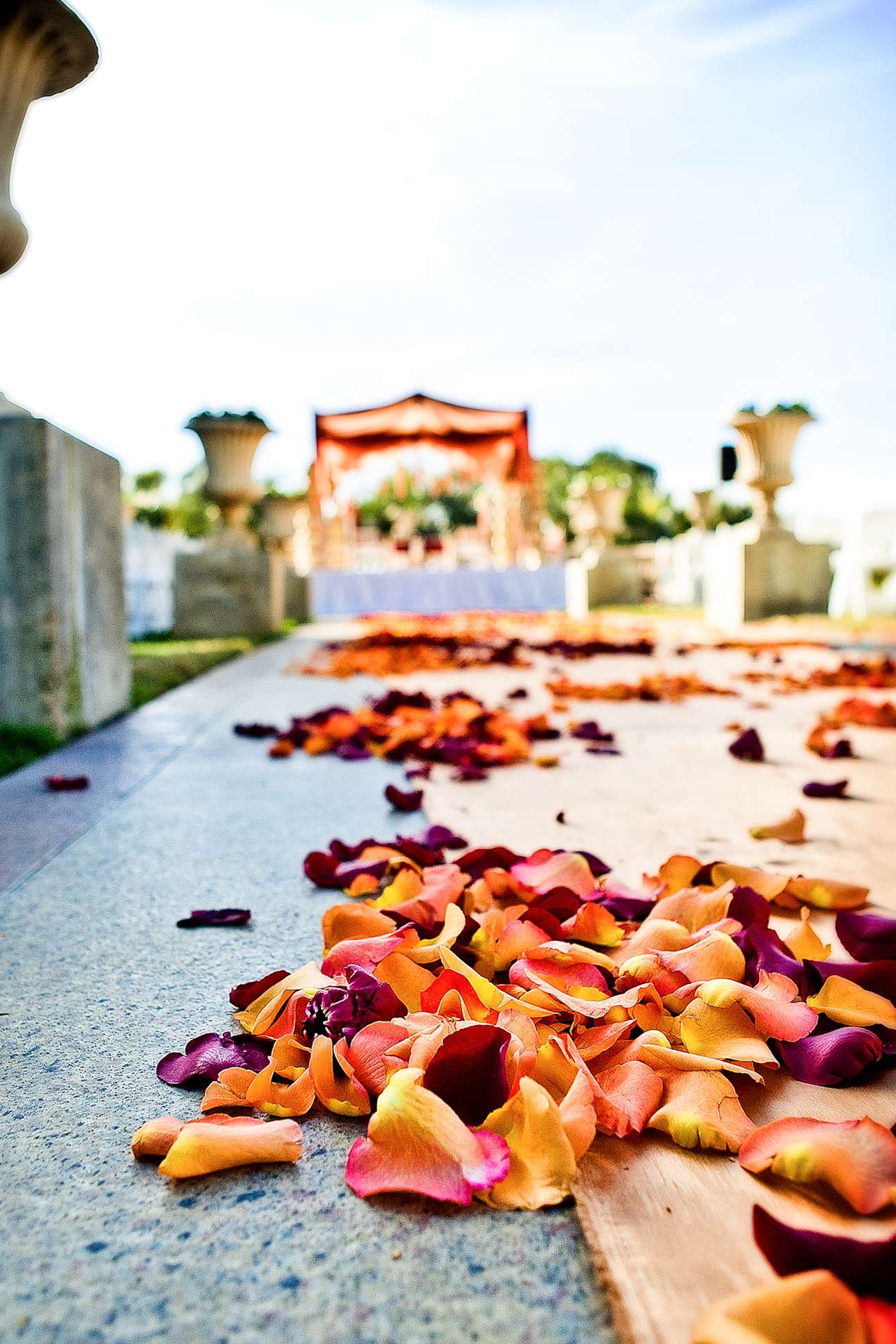 Hilton La Jolla Torrey Pines Wedding coordinated by Thomas Bui Lifestyle, Seema and Mahesh Wedding Photo #217360 by True Photography