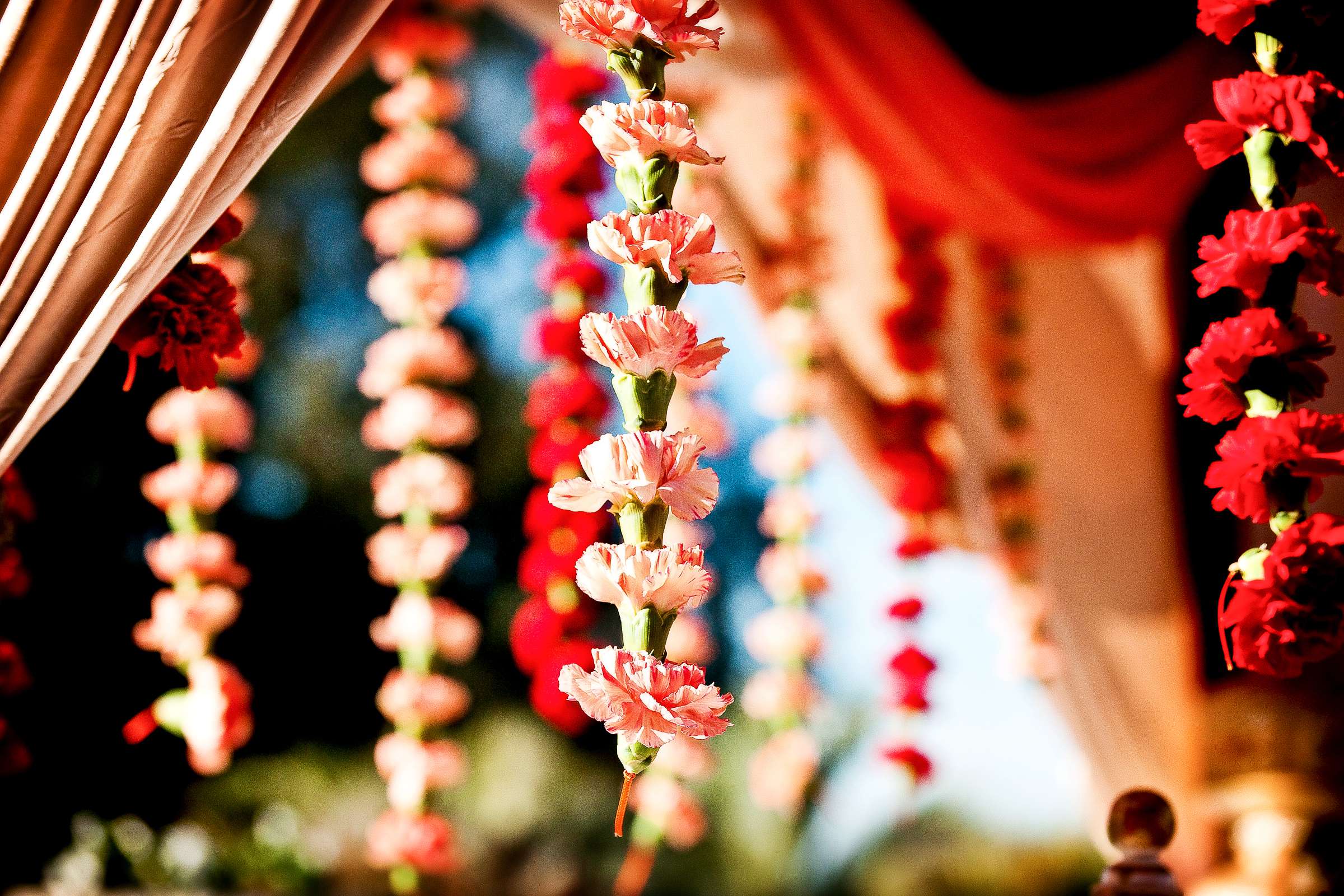 Hilton La Jolla Torrey Pines Wedding coordinated by Thomas Bui Lifestyle, Seema and Mahesh Wedding Photo #217372 by True Photography