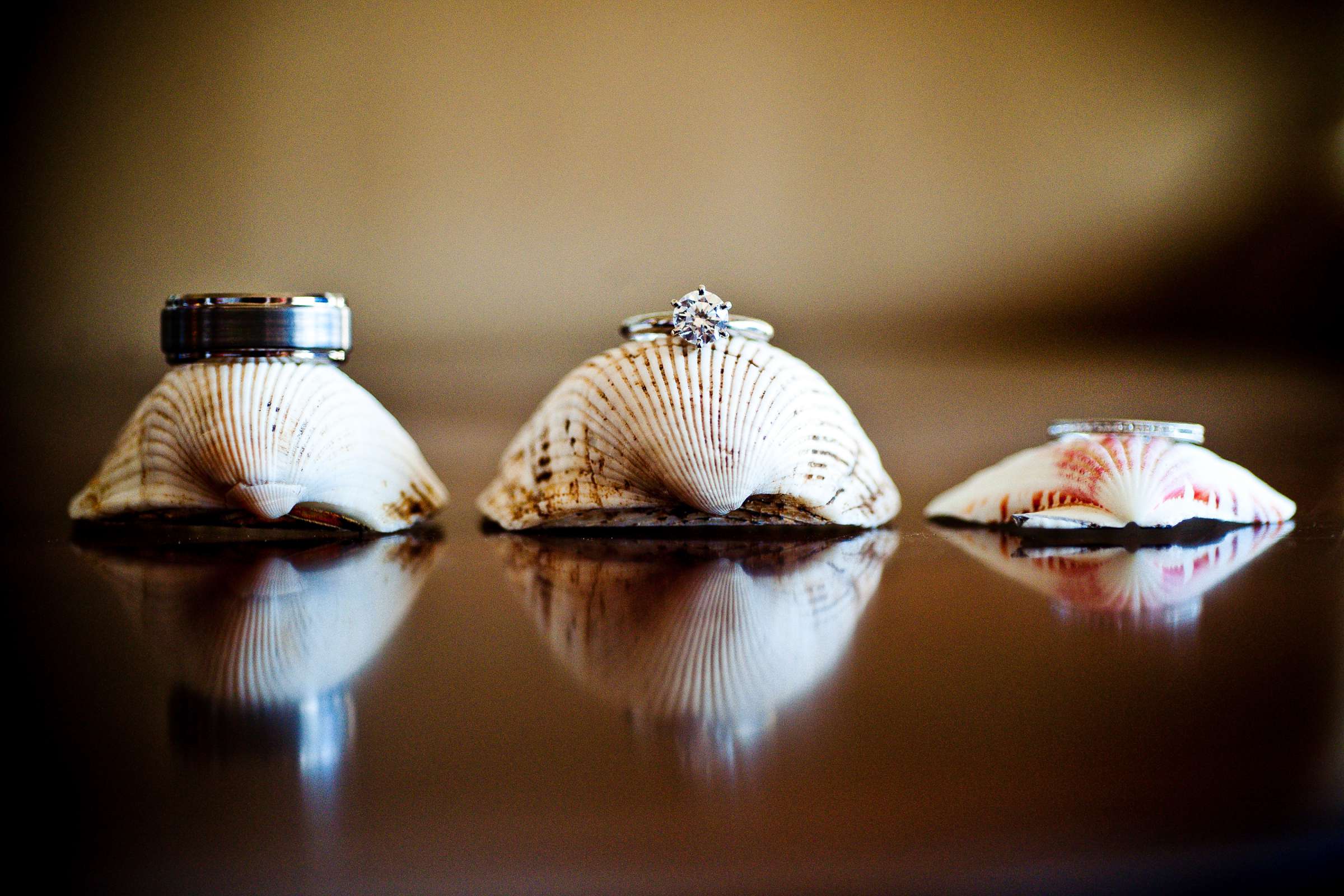 Hotel Del Coronado Wedding, Dawn and Steve Wedding Photo #218655 by True Photography