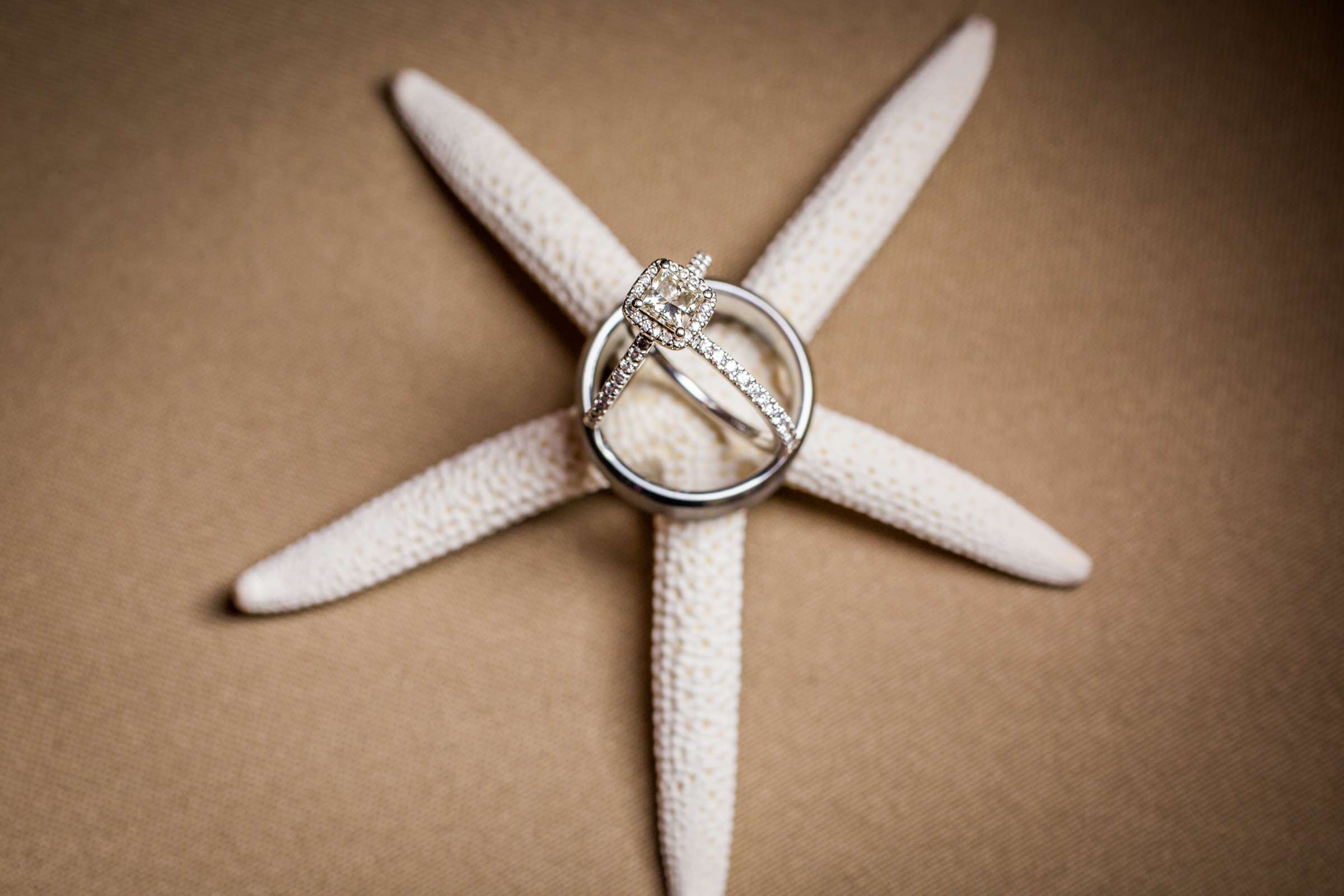 Rings, Beach at Cuvier Club Wedding, Stephanie and Bryan Wedding Photo #24 by True Photography