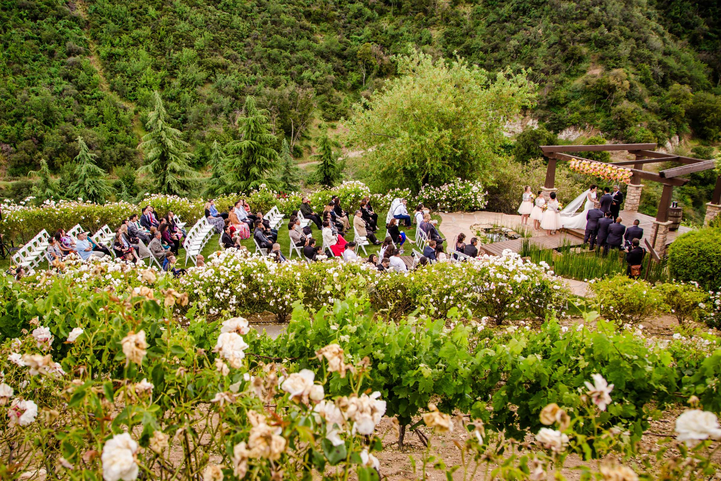 Serendipity Garden Weddings Wedding, Ruth and Freddie Wedding Photo #13 by True Photography