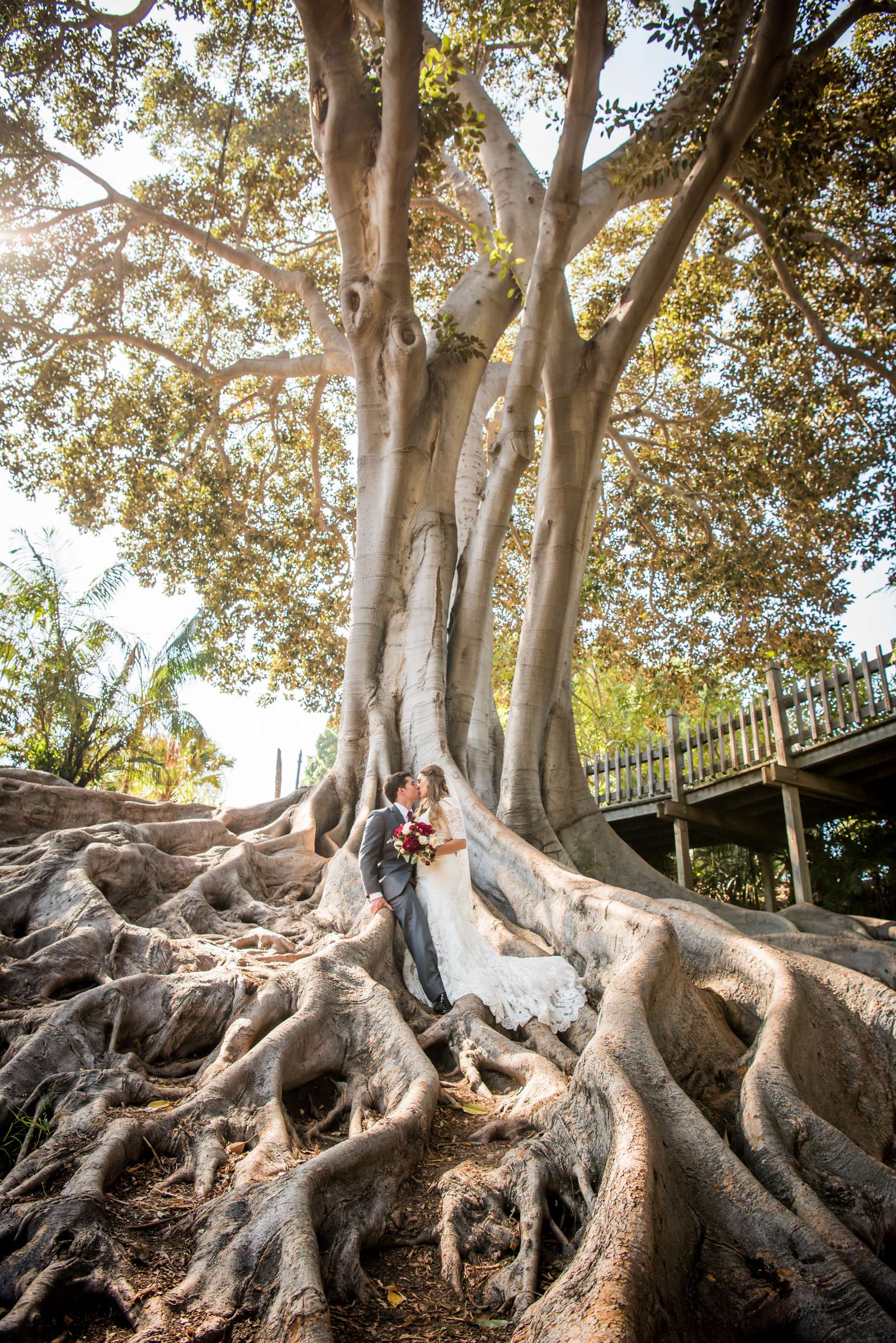 Wedding, Rebecca and Clayton Wedding Photo #6 by True Photography