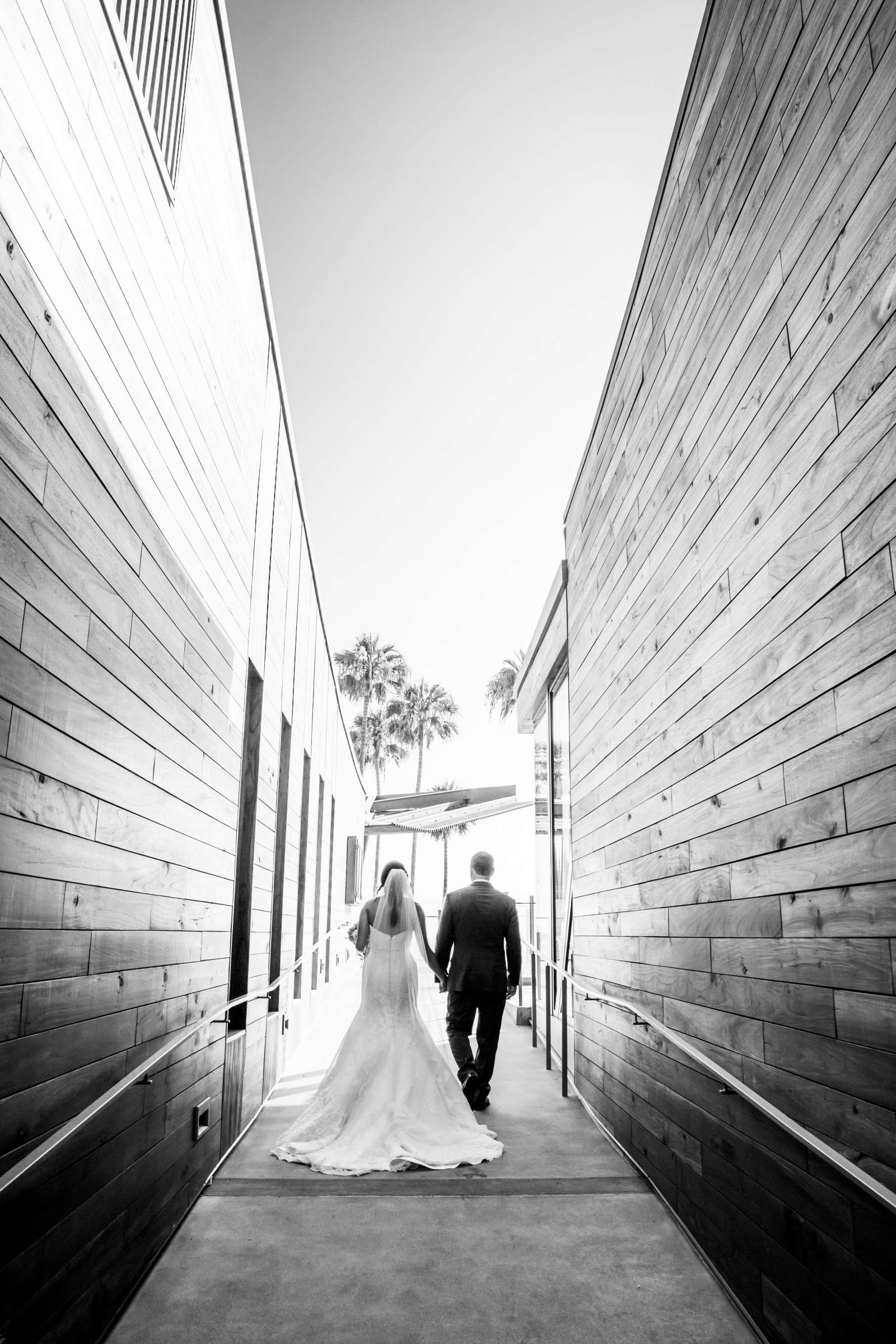 Scripps Seaside Forum Wedding coordinated by Behind The Scenes, Marissa and Andrew Wedding Photo #234996 by True Photography